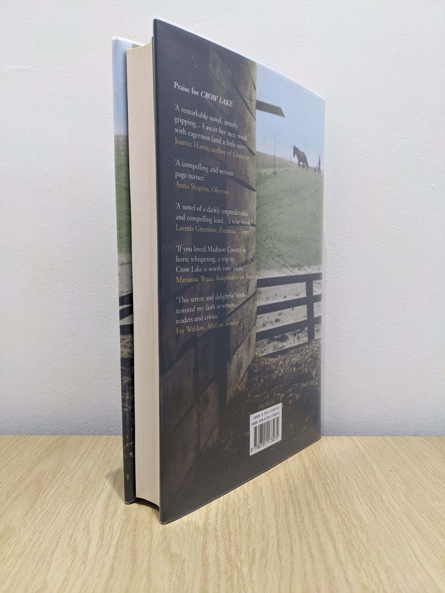 The Other Side of the Bridge by Mary Lawson (Signed First Edition) - Fialta Books