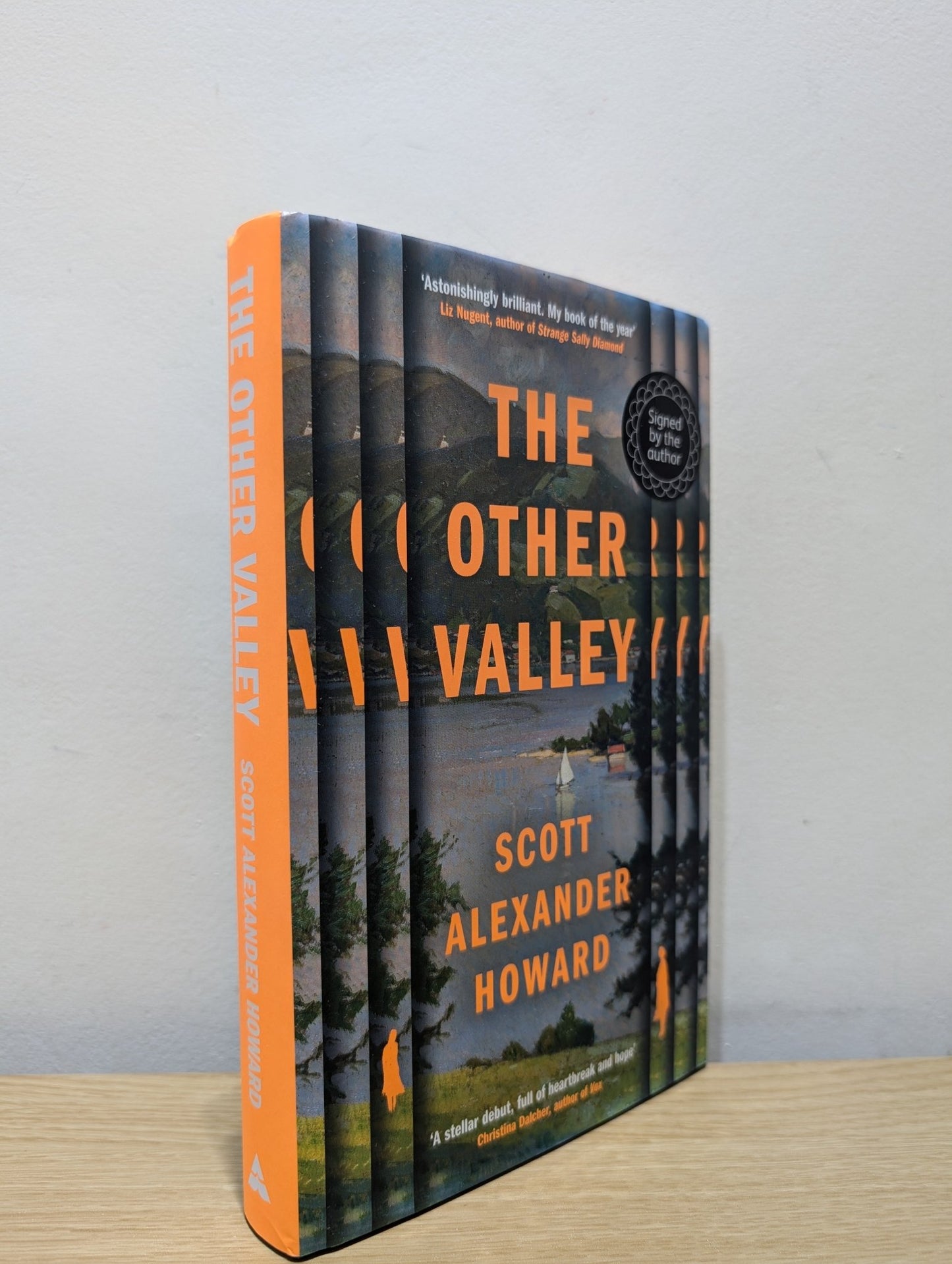 The Other Valley by Scott Alexander Howard (Signed First Edition) - Fialta Books