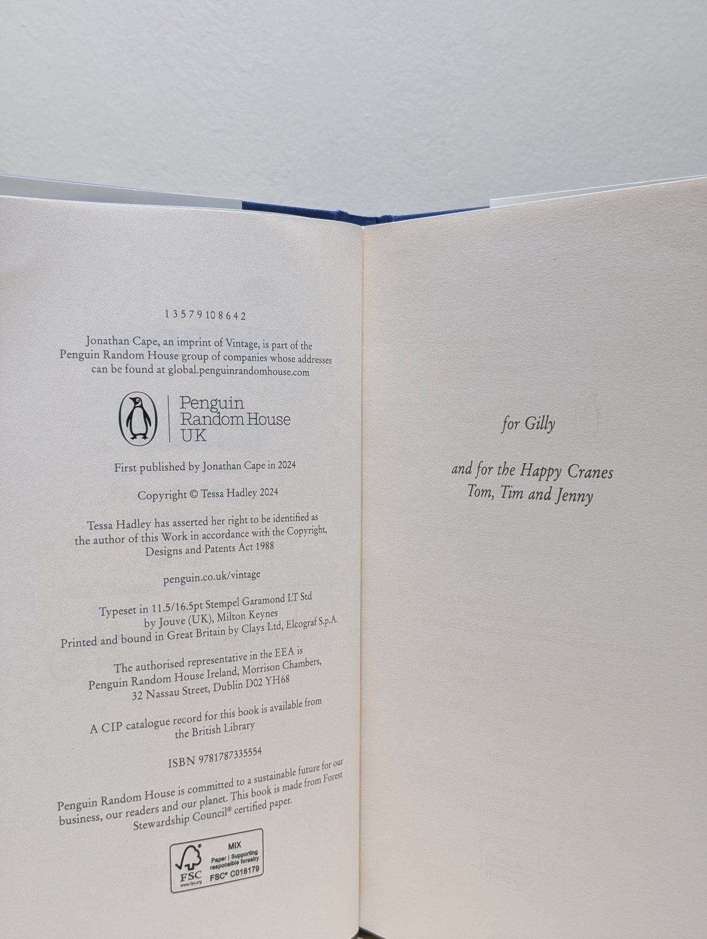 The Party by Tessa Hadley (Signed First Edition) - Fialta Books