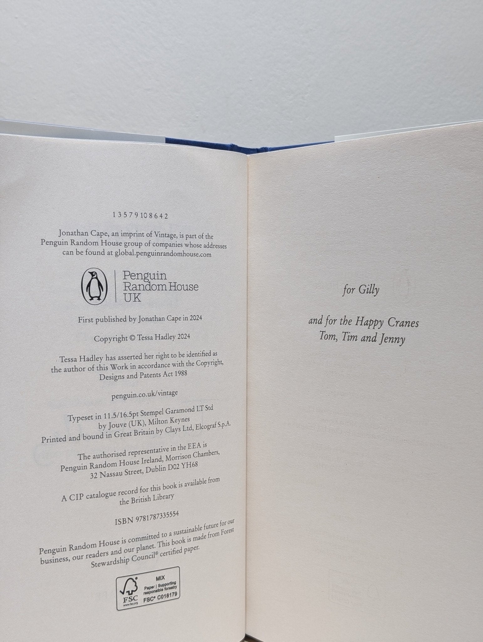The Party by Tessa Hadley (Signed First Edition) - Fialta Books