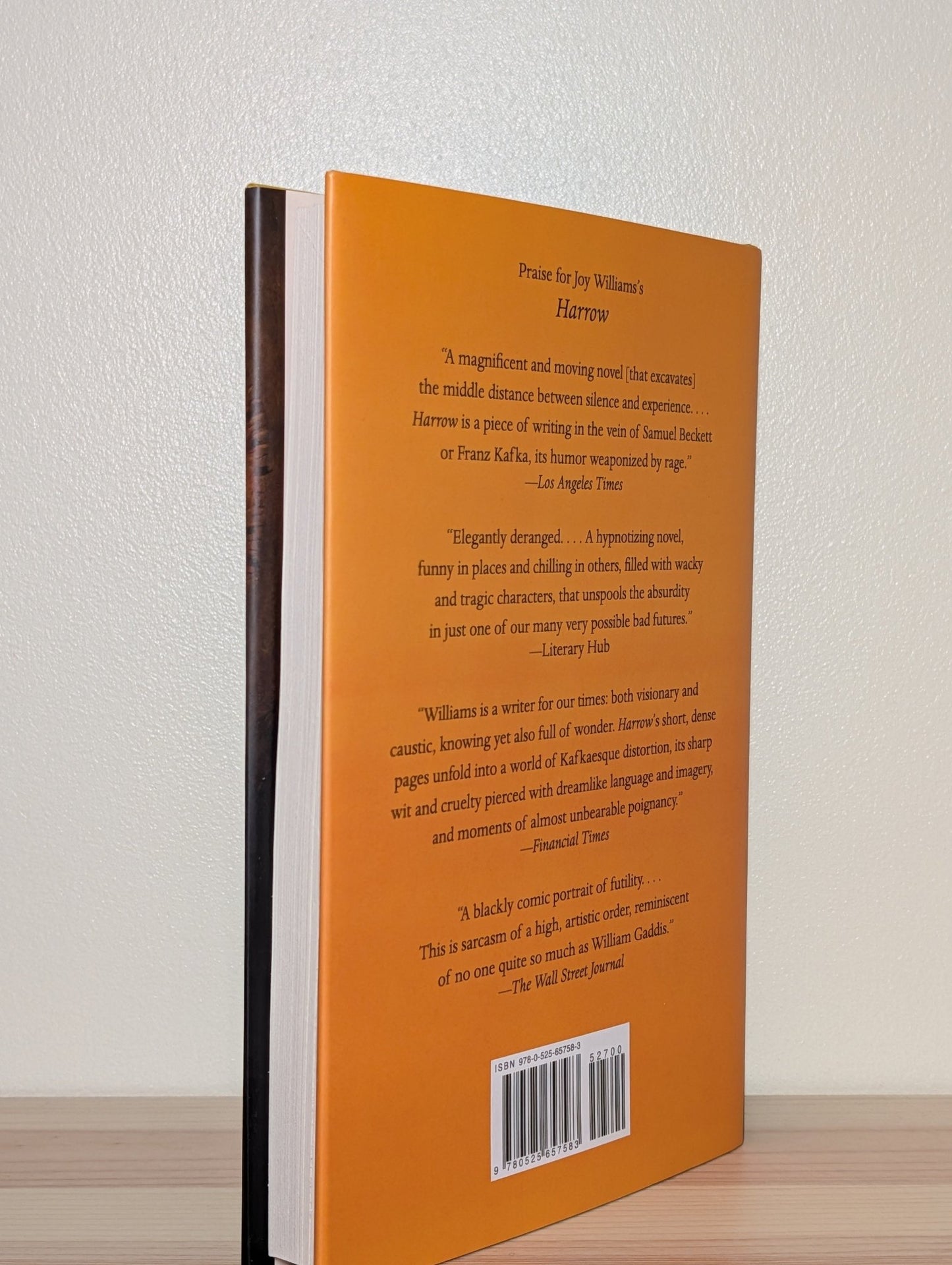 The Pelican Child: Stories by Joy Williams (Signed First Edition) - Fialta Books