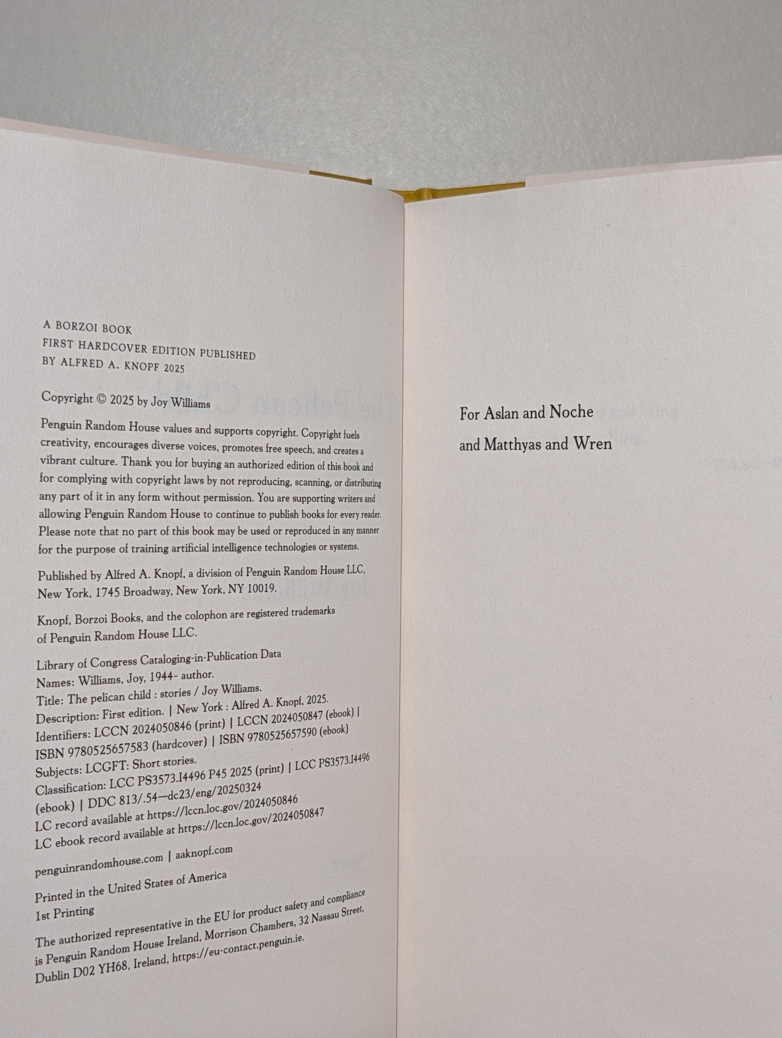 The Pelican Child: Stories by Joy Williams (Signed First Edition) - Fialta Books