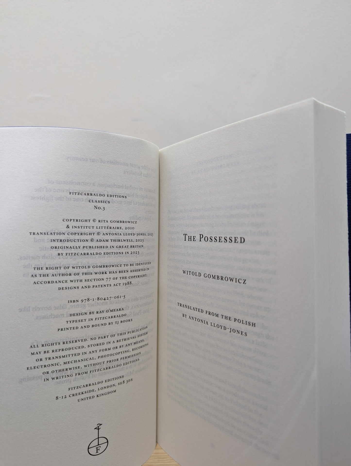 The Possessed by Witold Gombrowicz (First Edition) - Fialta Books