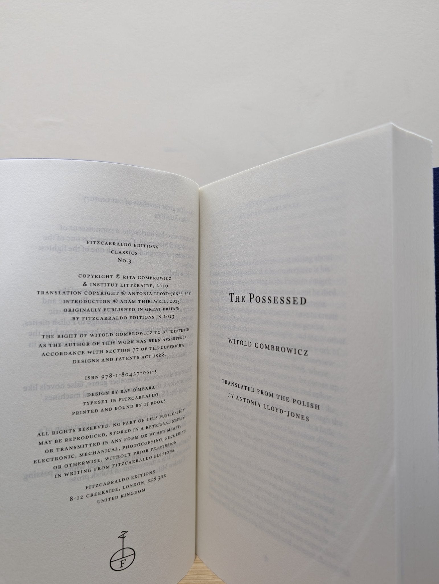 The Possessed by Witold Gombrowicz (First Edition) - Fialta Books
