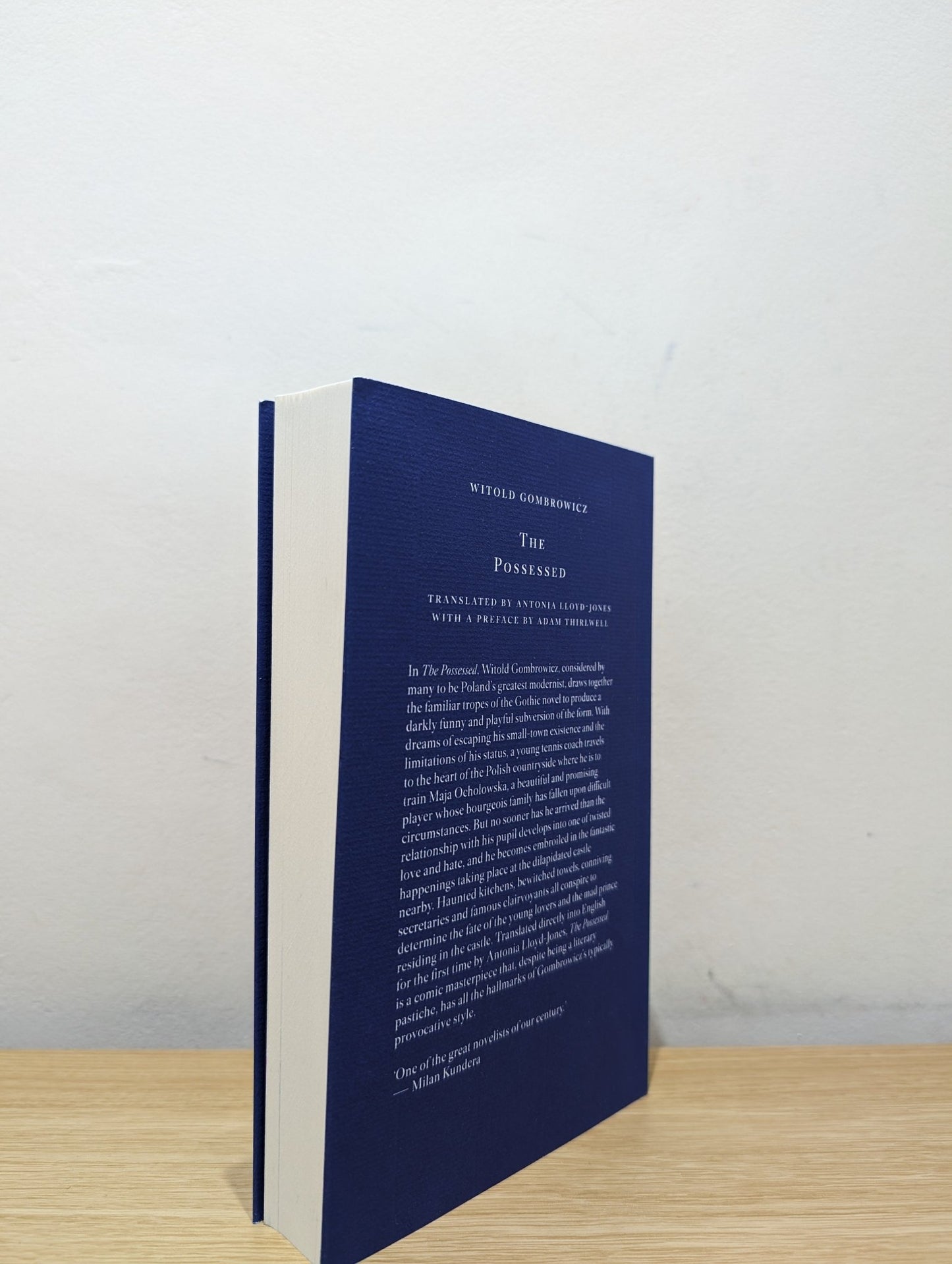 The Possessed by Witold Gombrowicz (First Edition) - Fialta Books