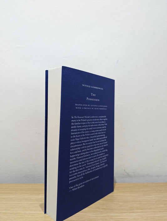 The Possessed by Witold Gombrowicz (First Edition) - Fialta Books