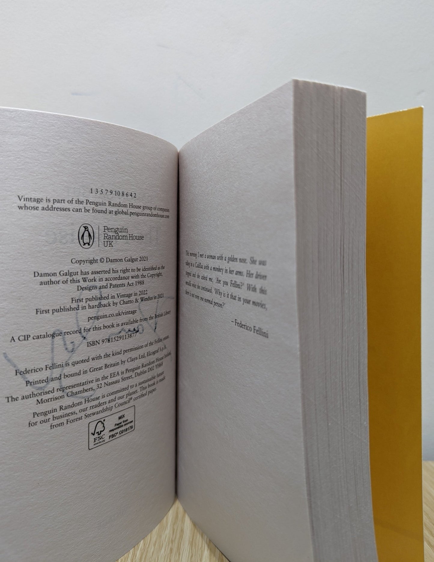 The Promise by Damon Galgut (Signed First Paperback Edition) - Fialta Books