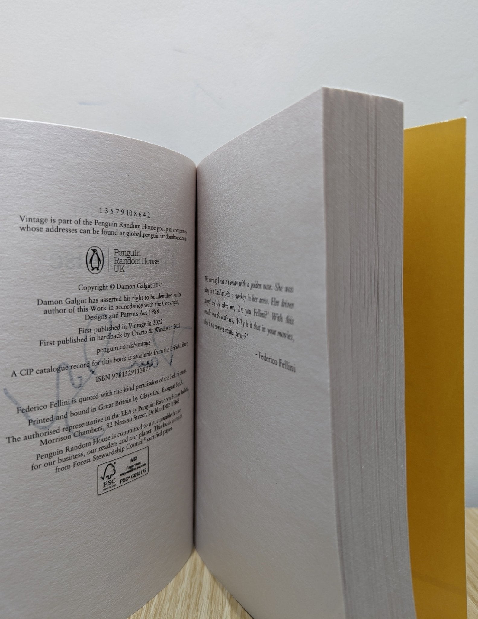 The Promise by Damon Galgut (Signed First Paperback Edition) - Fialta Books