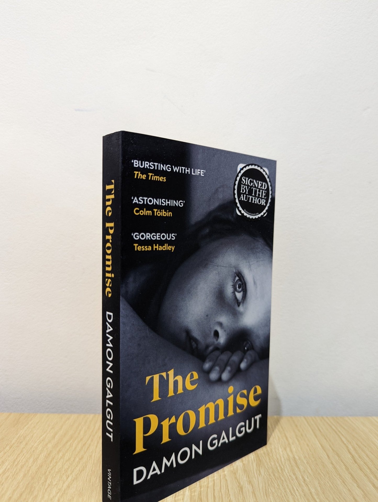 The Promise by Damon Galgut (Signed First Paperback Edition) - Fialta Books