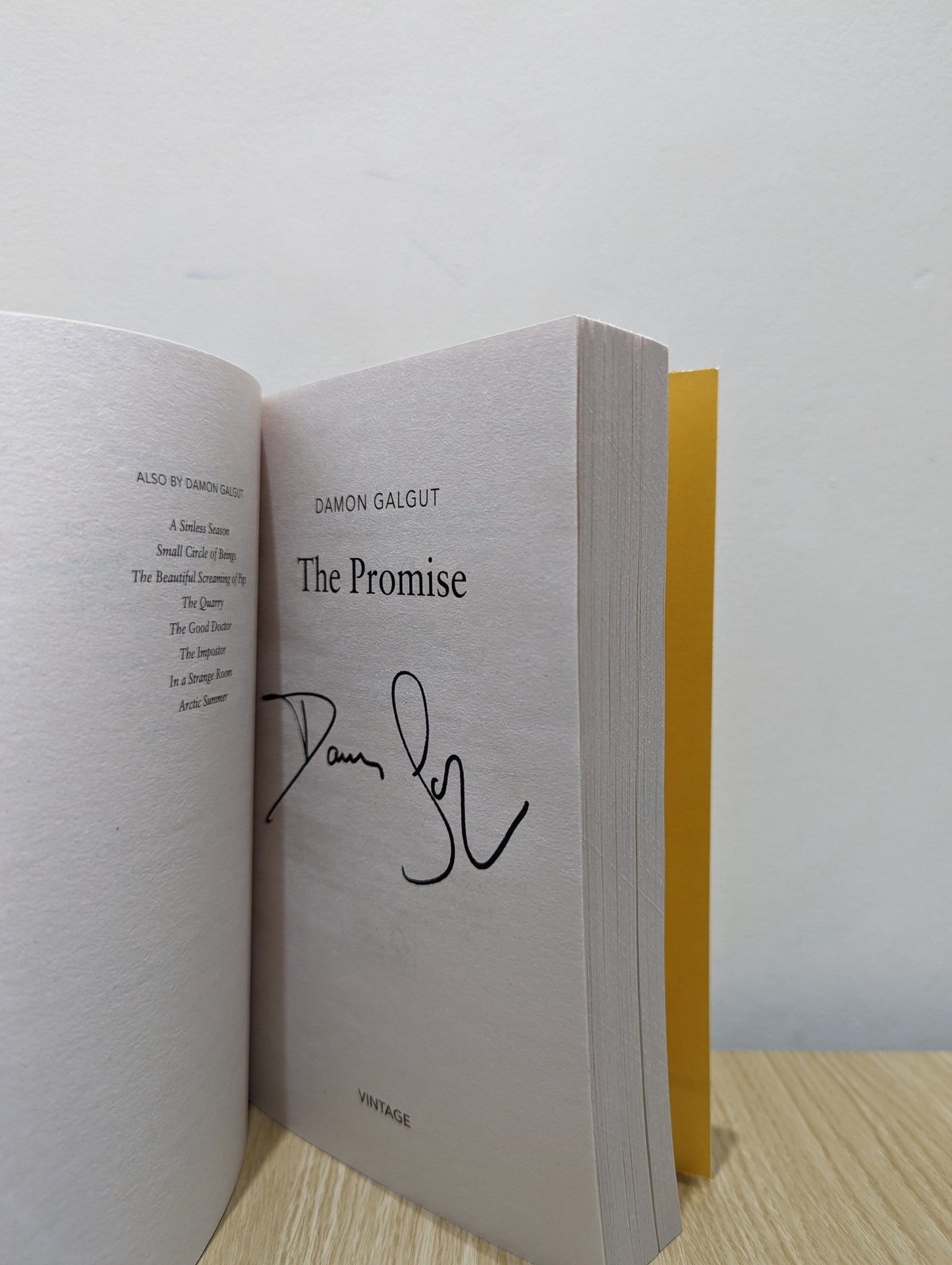 The Promise by Damon Galgut (Signed First Paperback Edition) - Fialta Books