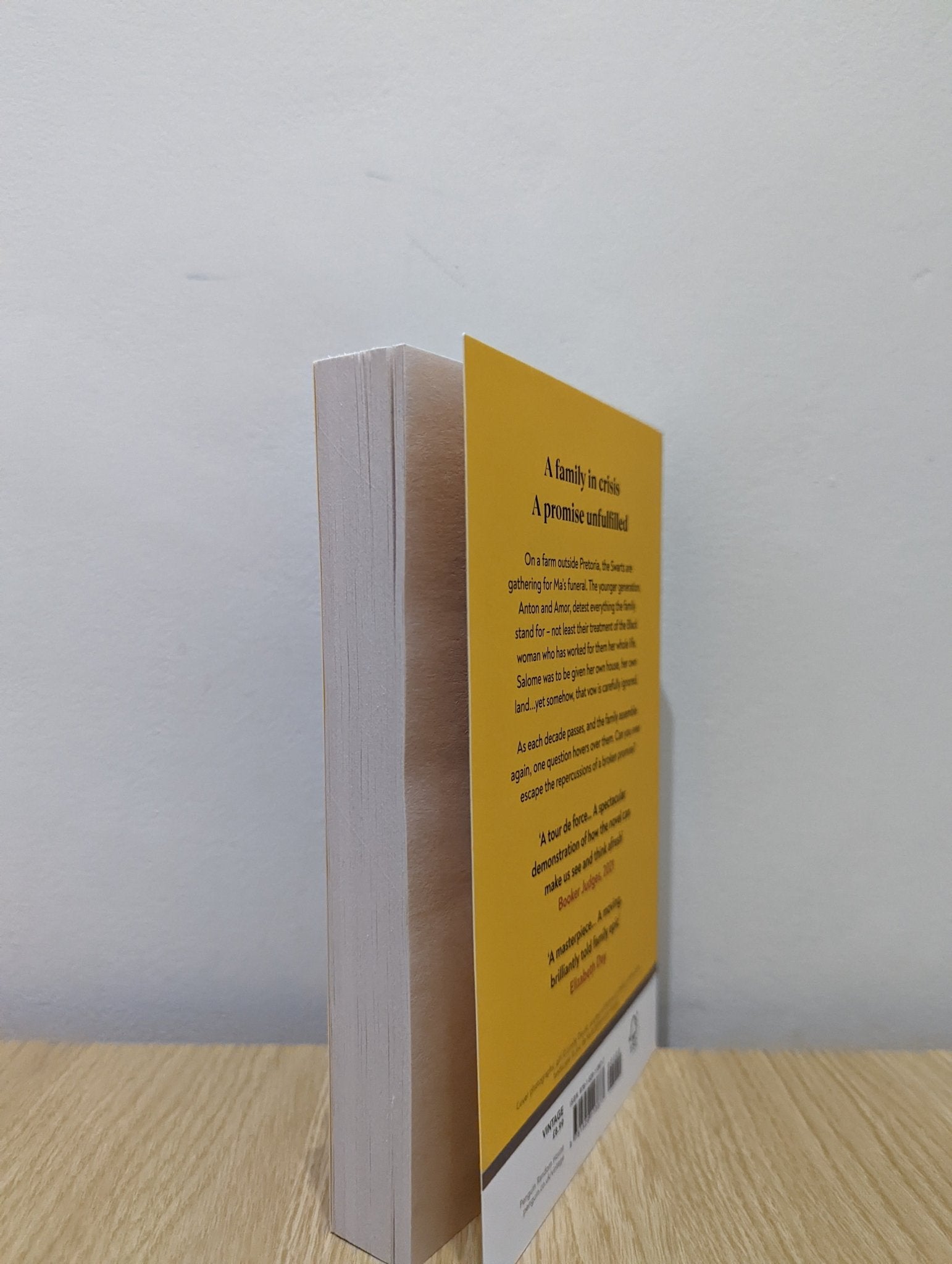 The Promise by Damon Galgut (Signed First Paperback Edition) - Fialta Books