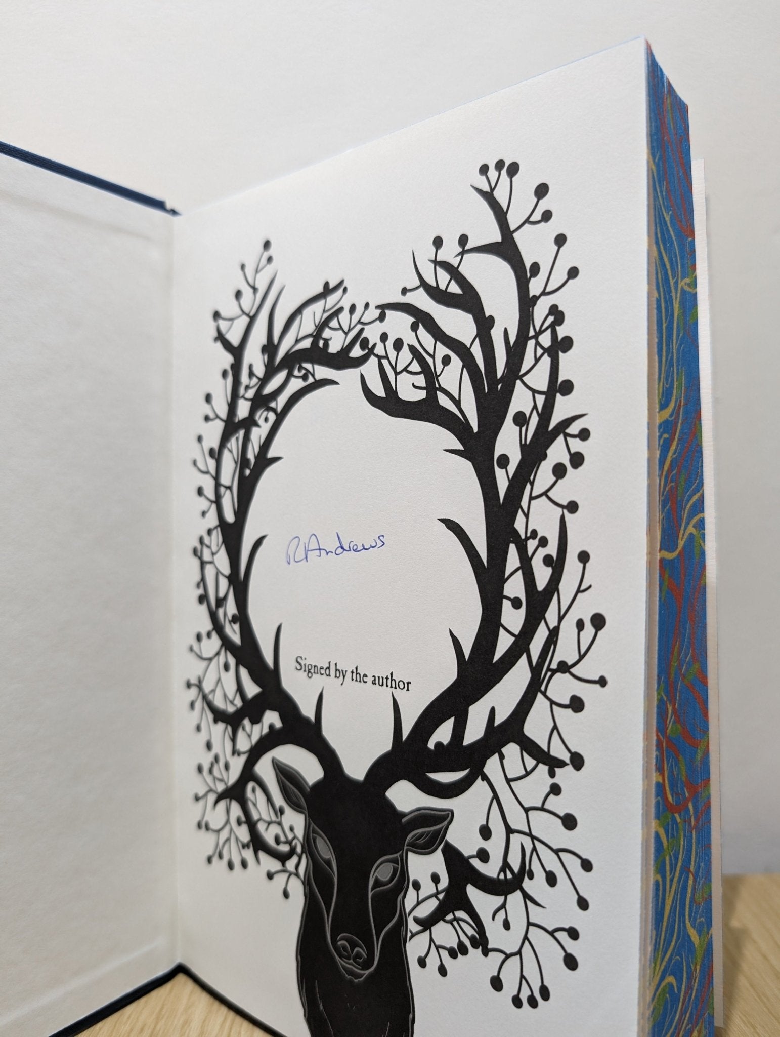The Puzzle Wood by Rosie Andrews (Signed First Edition with sprayed edges) - Fialta Books