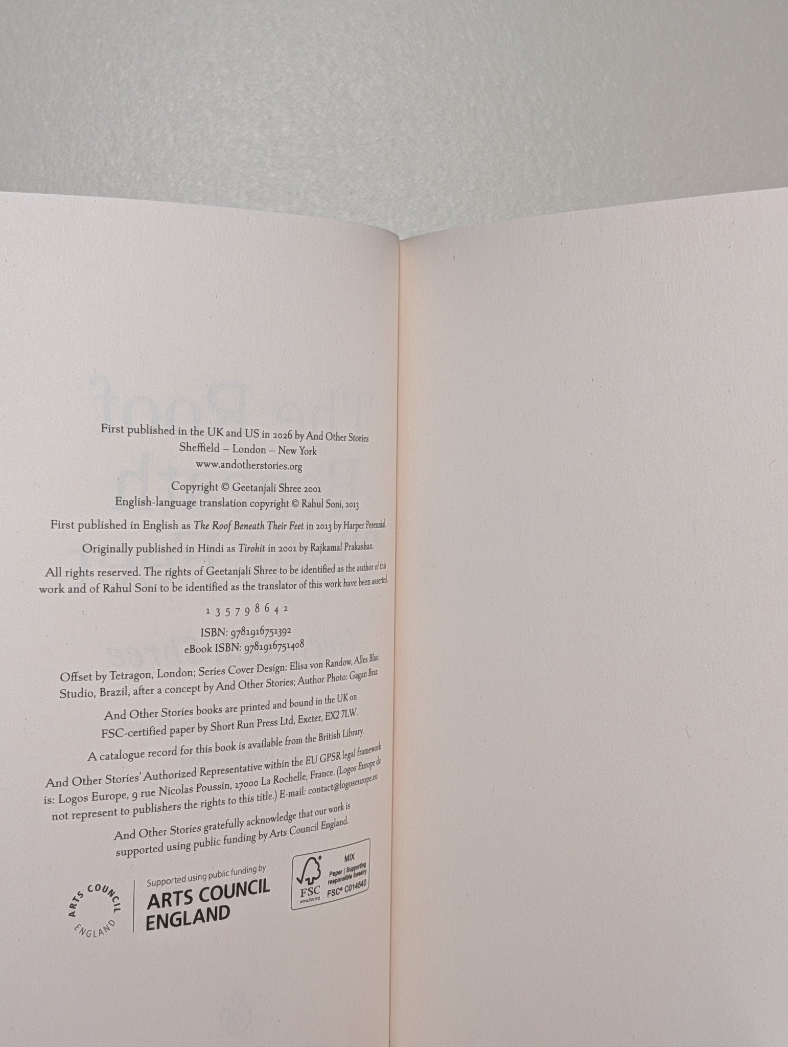 The Roof Beneath their Feet by Geetanjali Shree (First Edition) - Fialta Books