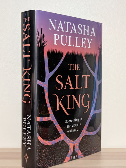 The Salt King by Natasha Pulley (Signed First Edition) - Fialta Books