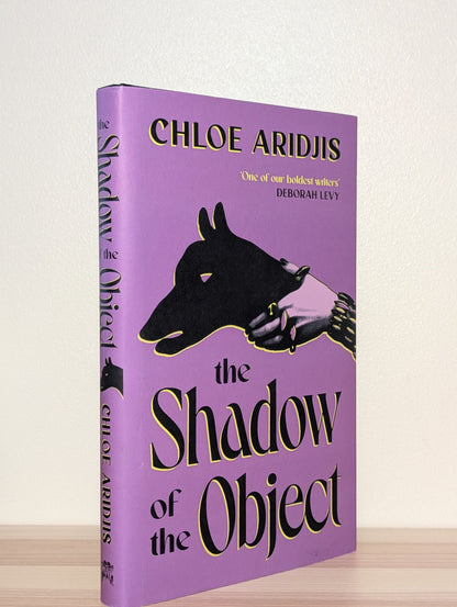 The Shadow of the Object by Chloe Aridjis (First Edition) - Fialta Books
