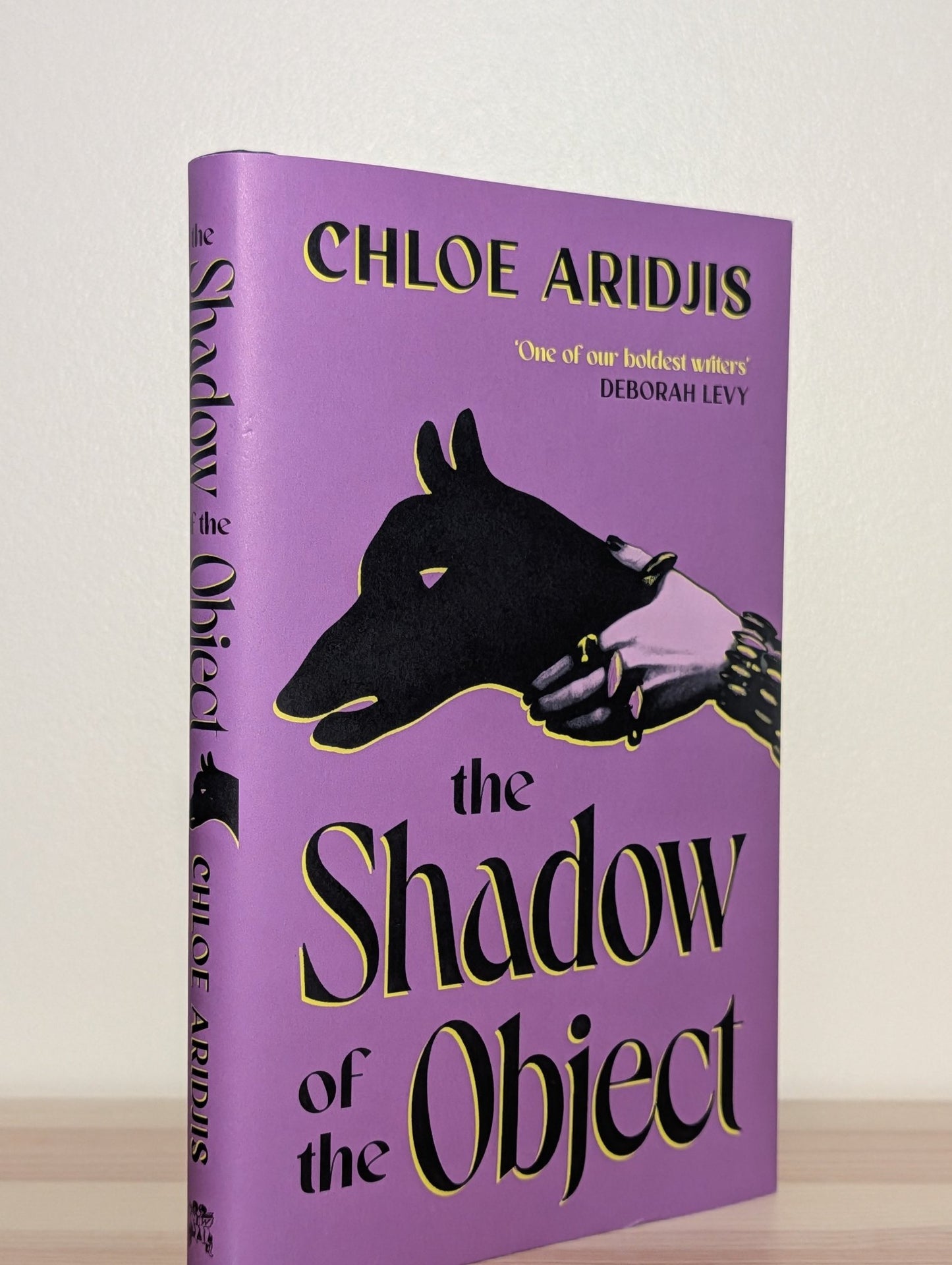 The Shadow of the Object by Chloe Aridjis (Signed First Edition) - Fialta Books