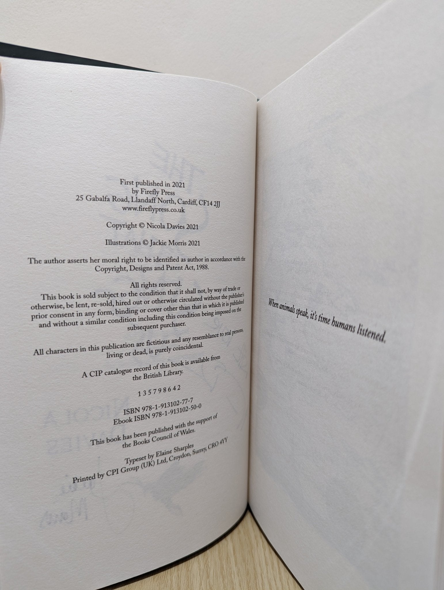 The Song that Sings Us by Nicola Davies (Signed First Edition) - Fialta Books