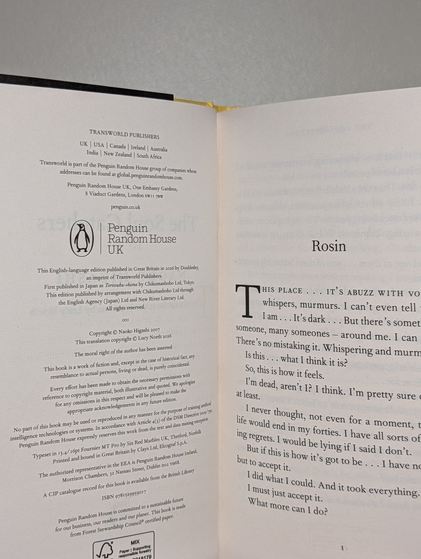 The Soul Catchers by Naoko Higashi (Signed First Edition) - Fialta Books