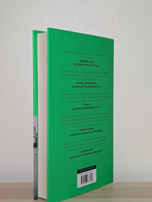 The South by Tash Aw (Signed Lined First Edition) - Fialta Books