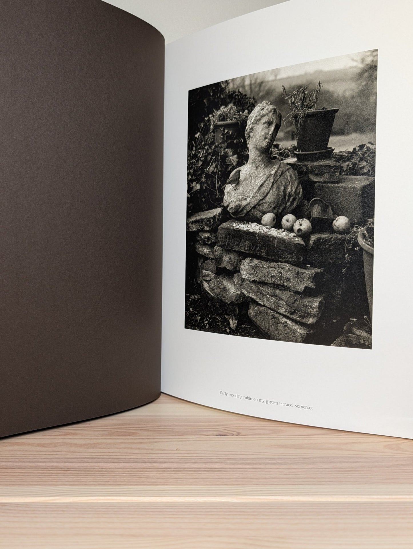 The Stillness of Life by Don McCullin (Signed First Edition) - Fialta Books