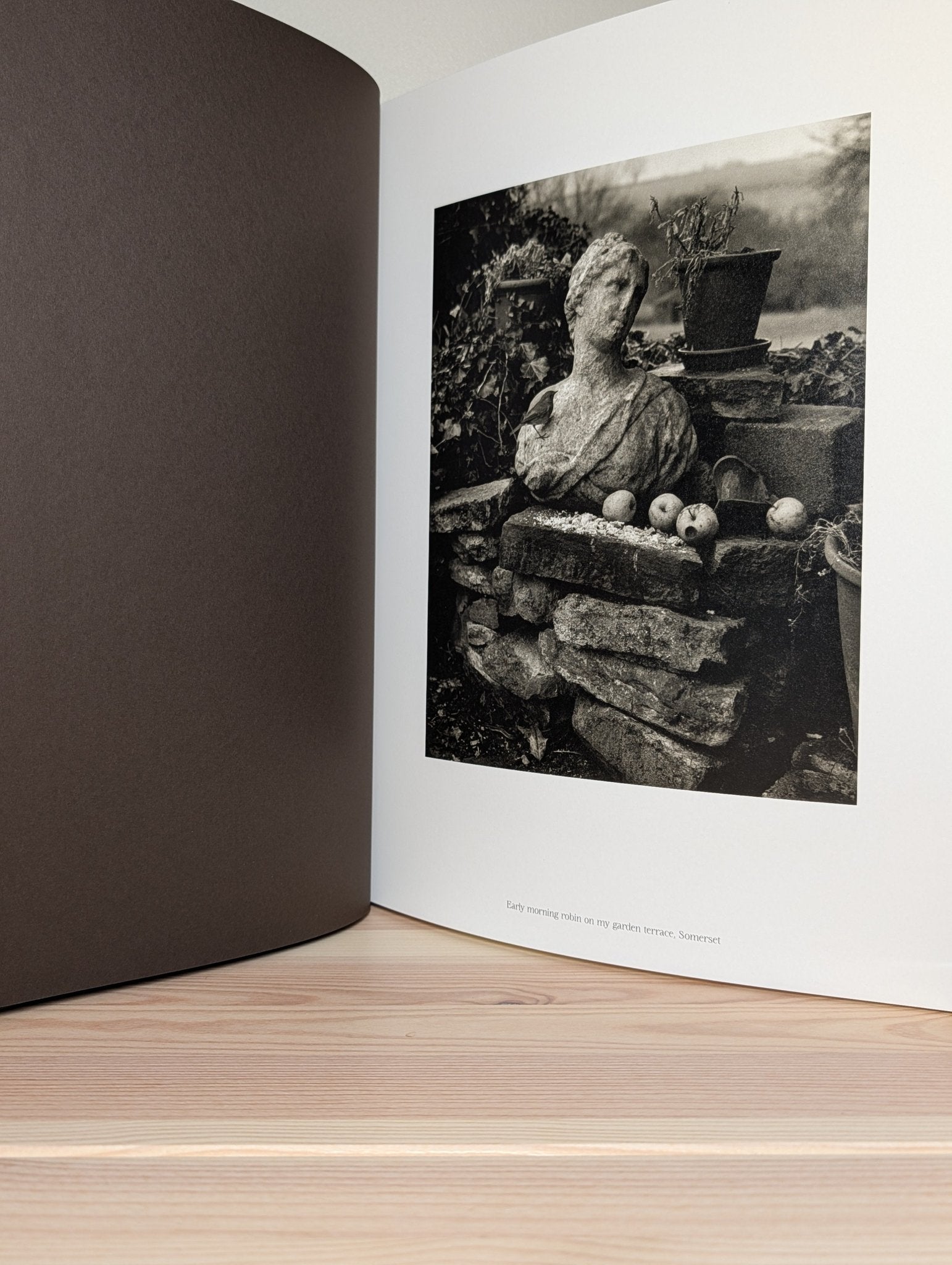 The Stillness of Life by Don McCullin (Signed First Edition) - Fialta Books