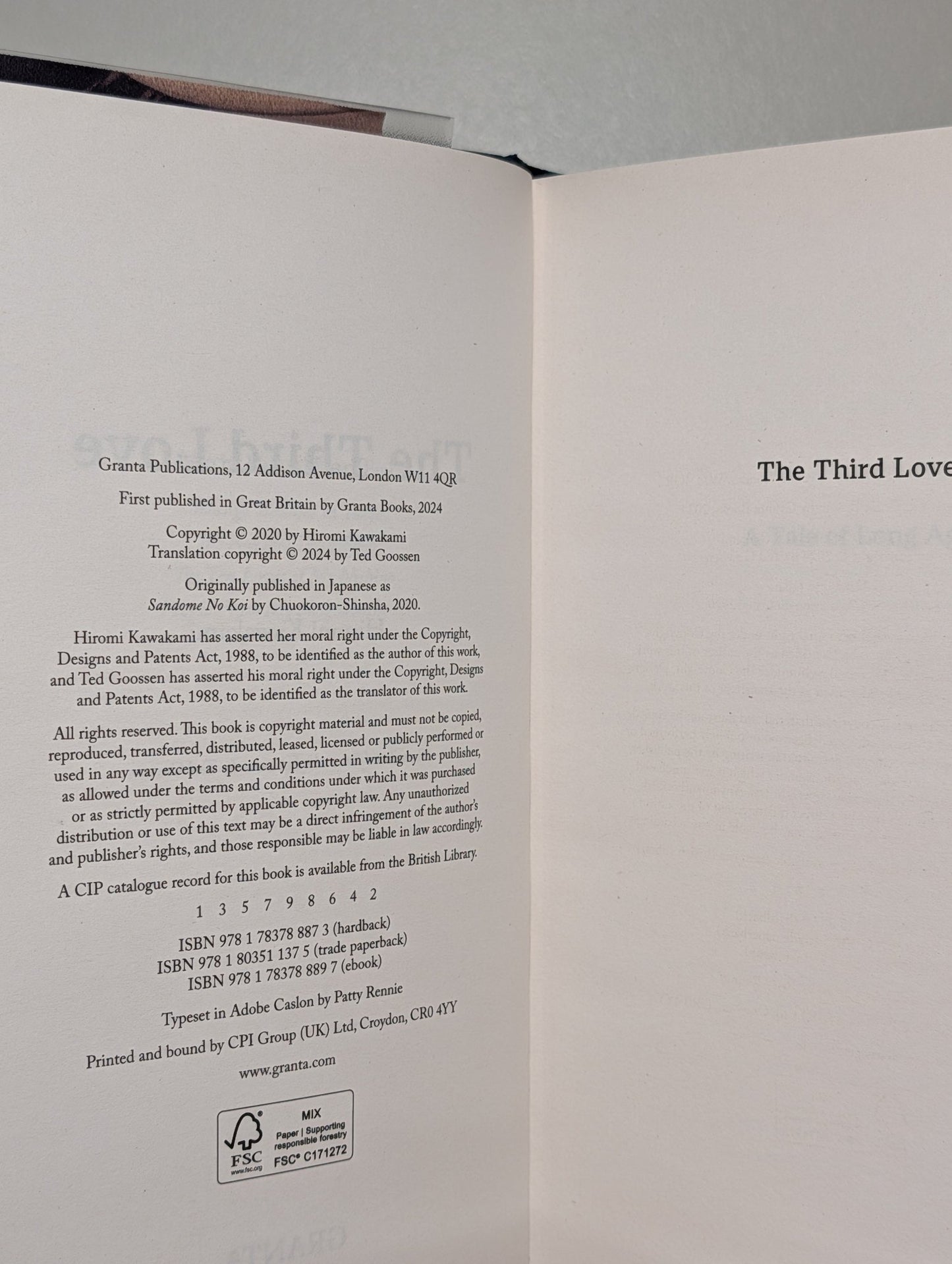 The Third Love by Hiromi Kawakami (First Edition) - Fialta Books