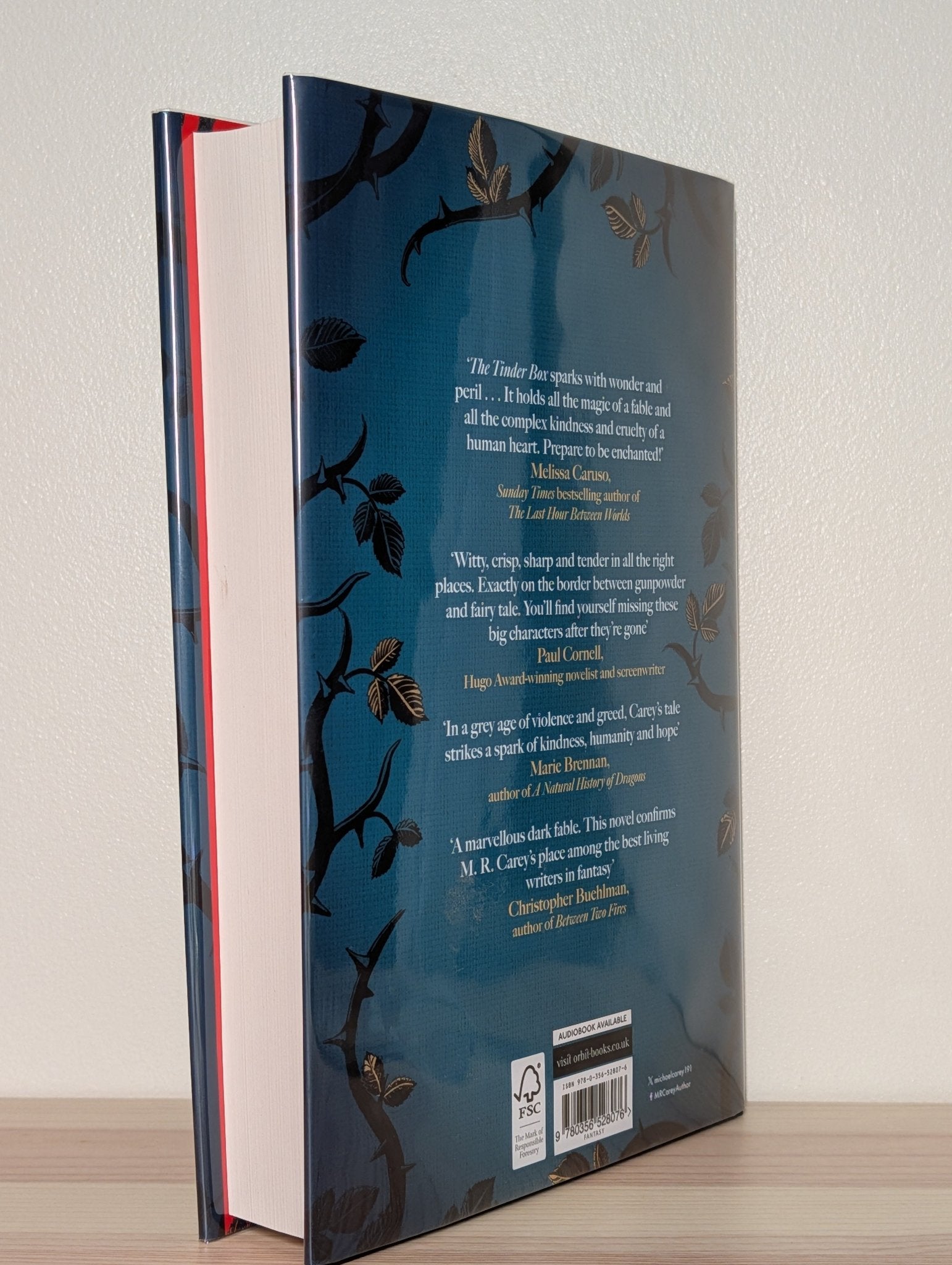 The Tinder Box by M. R. Carey (Signed First Edition) - Fialta Books