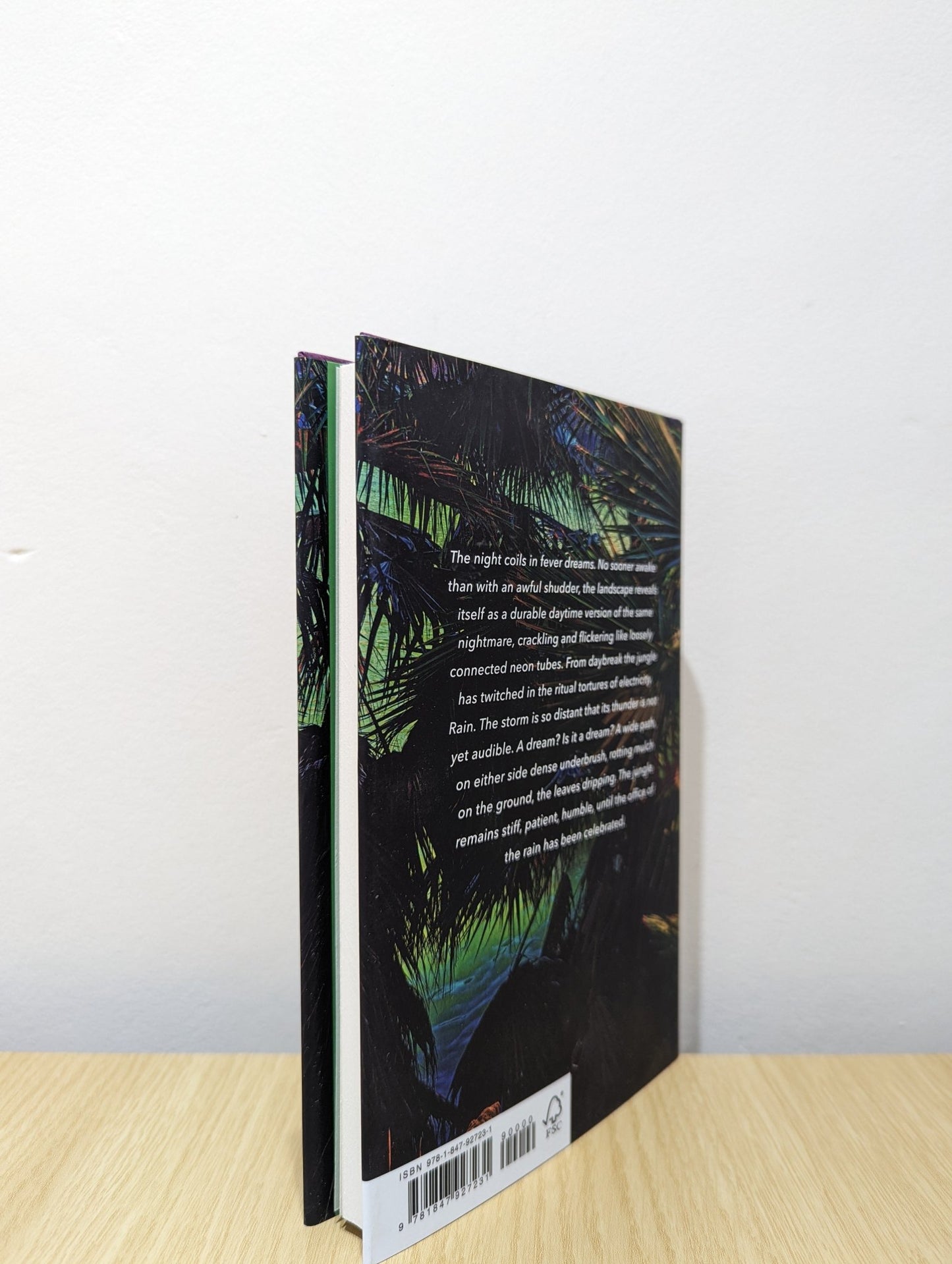 The Twilight World by Werner Herzog (Signed First Edition) - Fialta Books