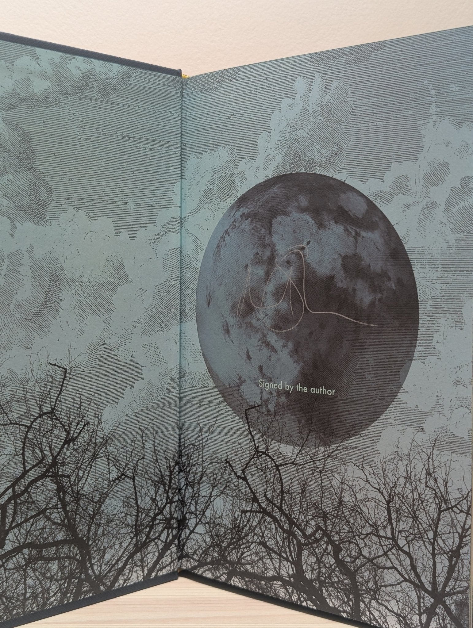 The Unrecovered by Richard Strachan (Signed First Edition with sprayed edges) - Fialta Books