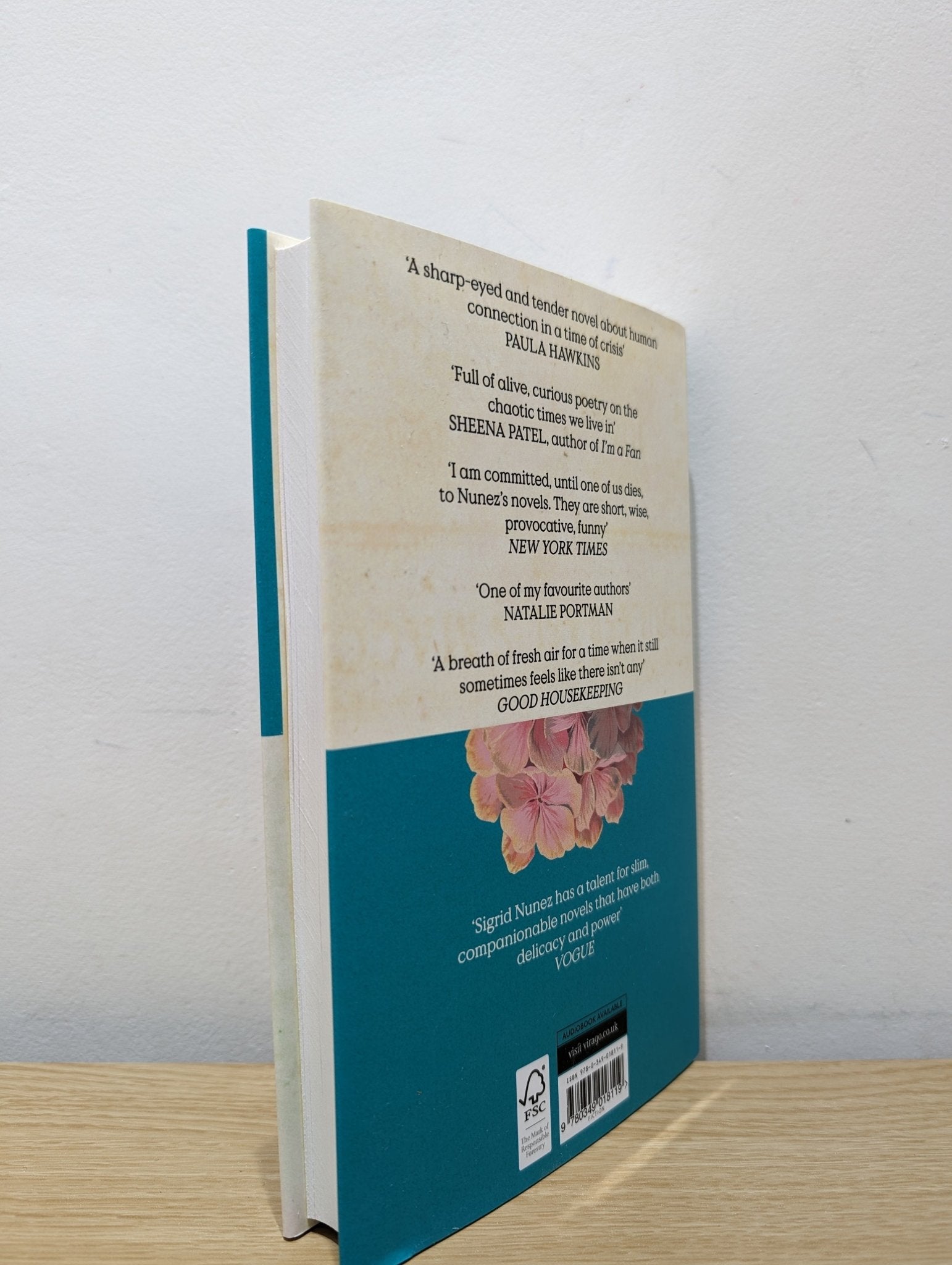 The Vulnerables by Sigrid Nunez (First Edition) - Fialta Books