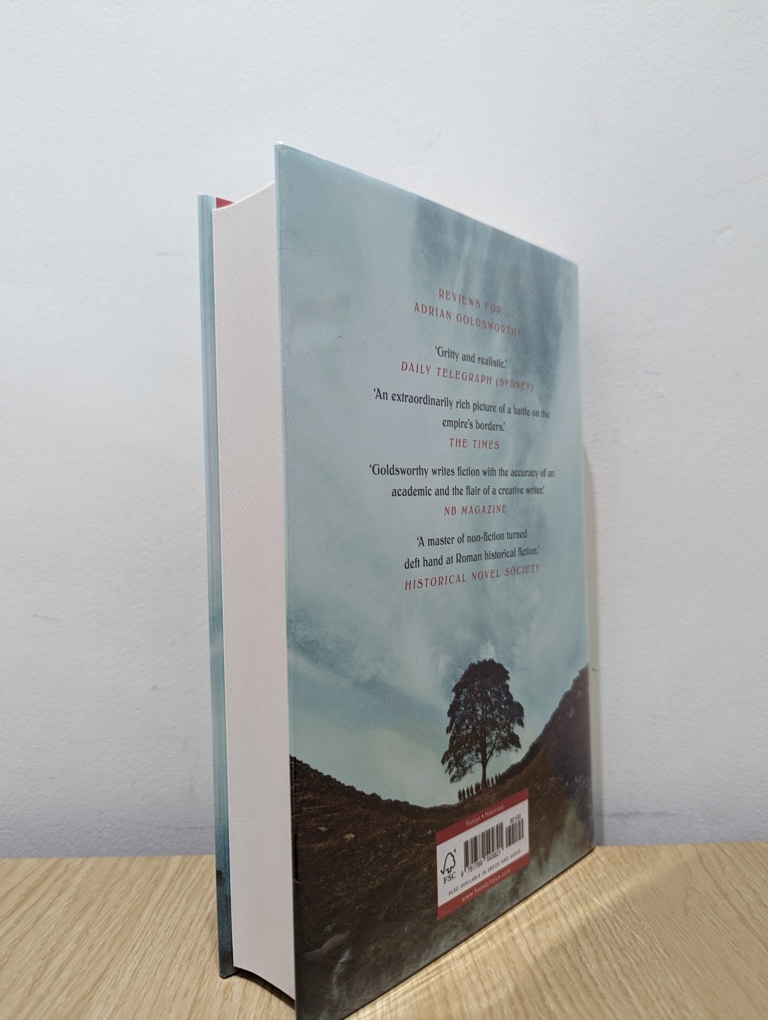 The Wall by Adrian Goldsworthy (Signed First Edition) - Fialta Books