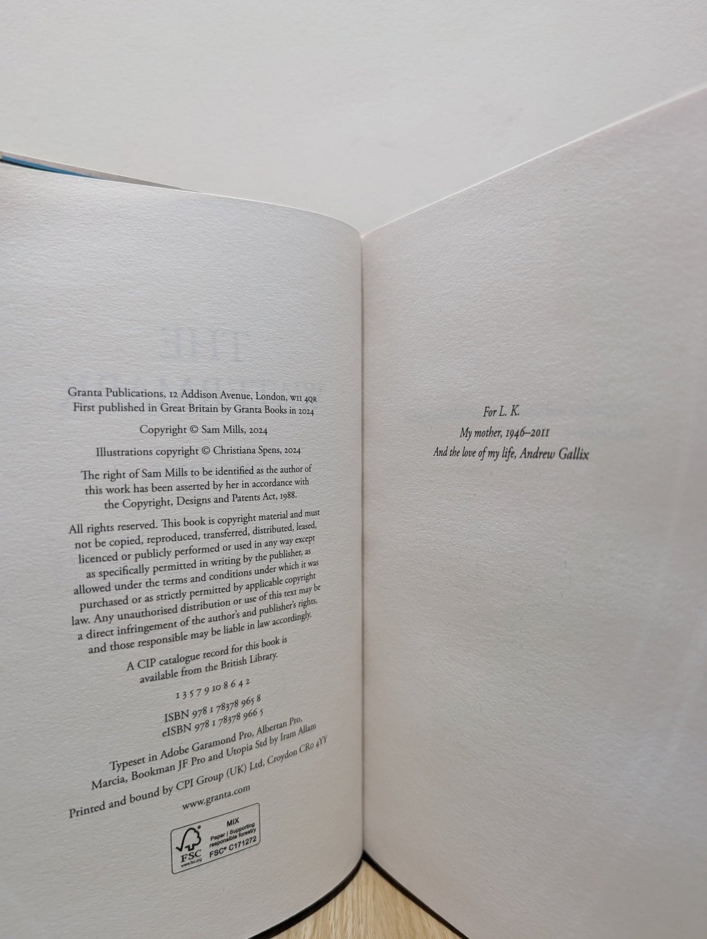 The Watermark by Sam Mills (Signed First Edition) - Fialta Books