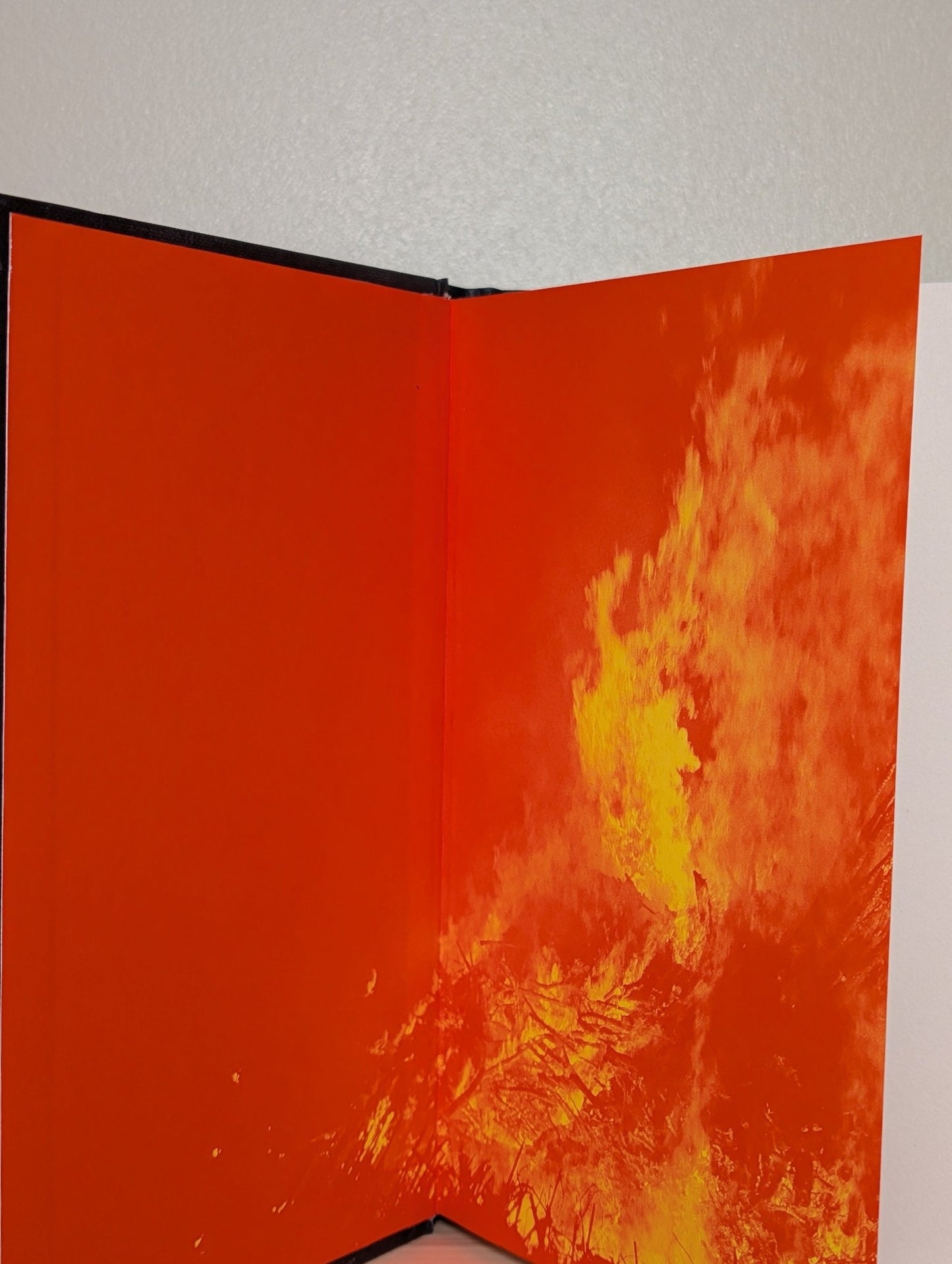 The Wax Child by Olga Ravn (Signed First Edition) - Fialta Books