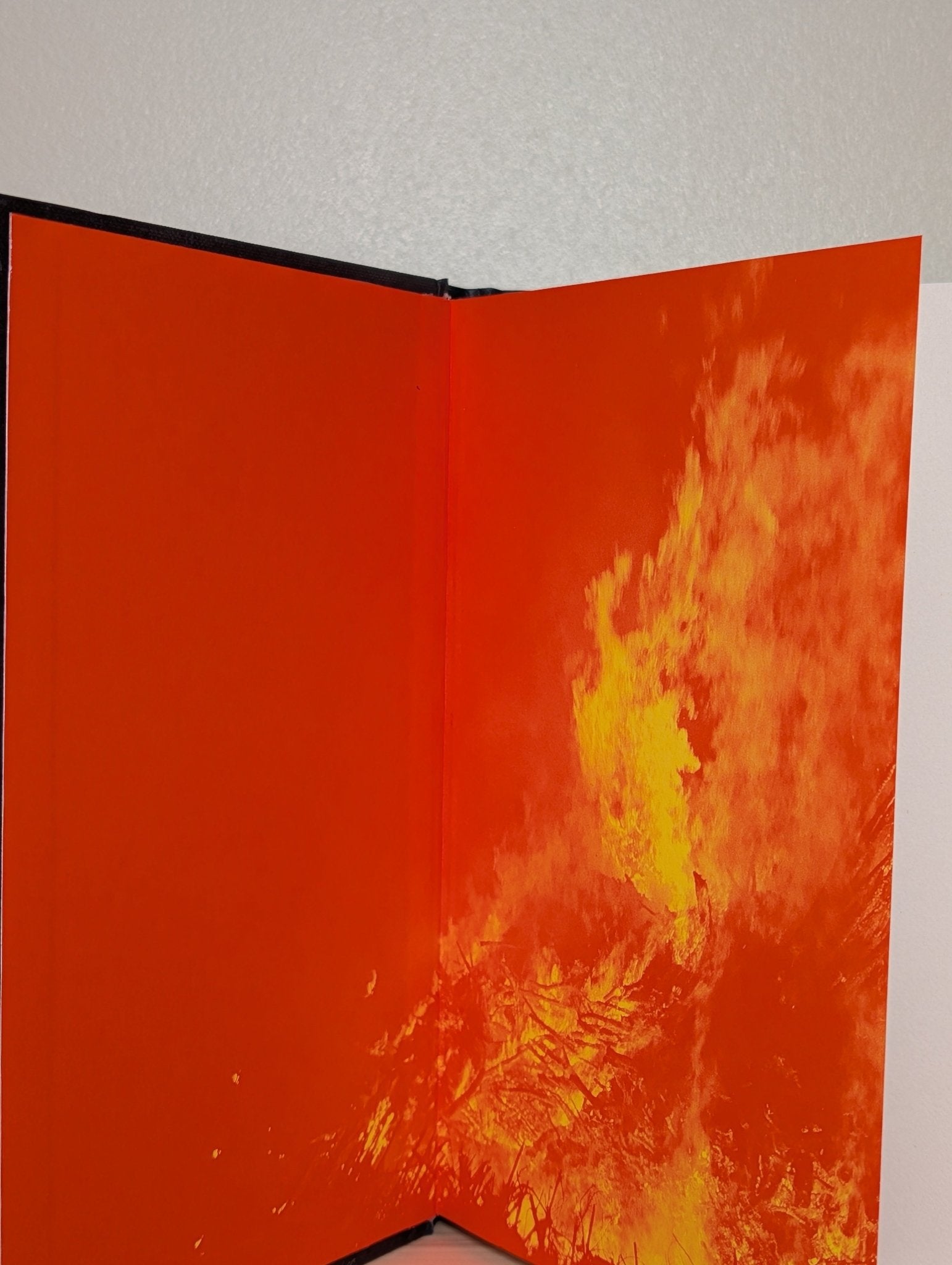 The Wax Child by Olga Ravn (Signed First Edition) - Fialta Books