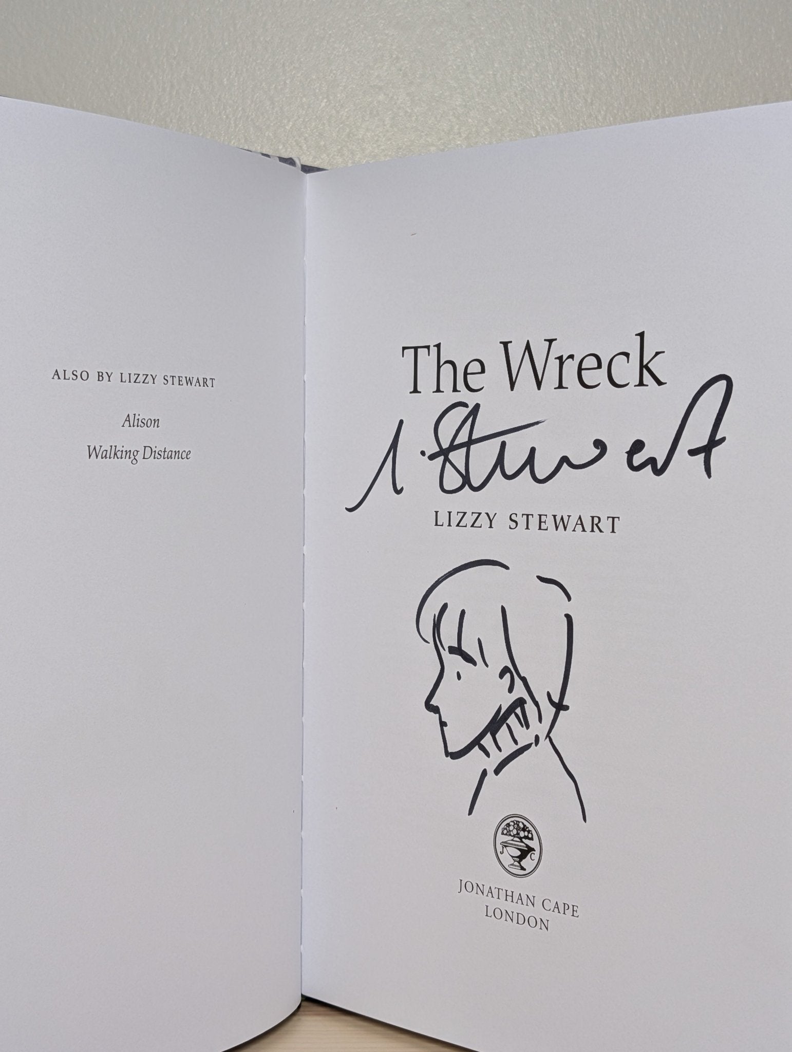The Wreck by Lizzy Stewart (Signed Doodled First Edition) - Fialta Books