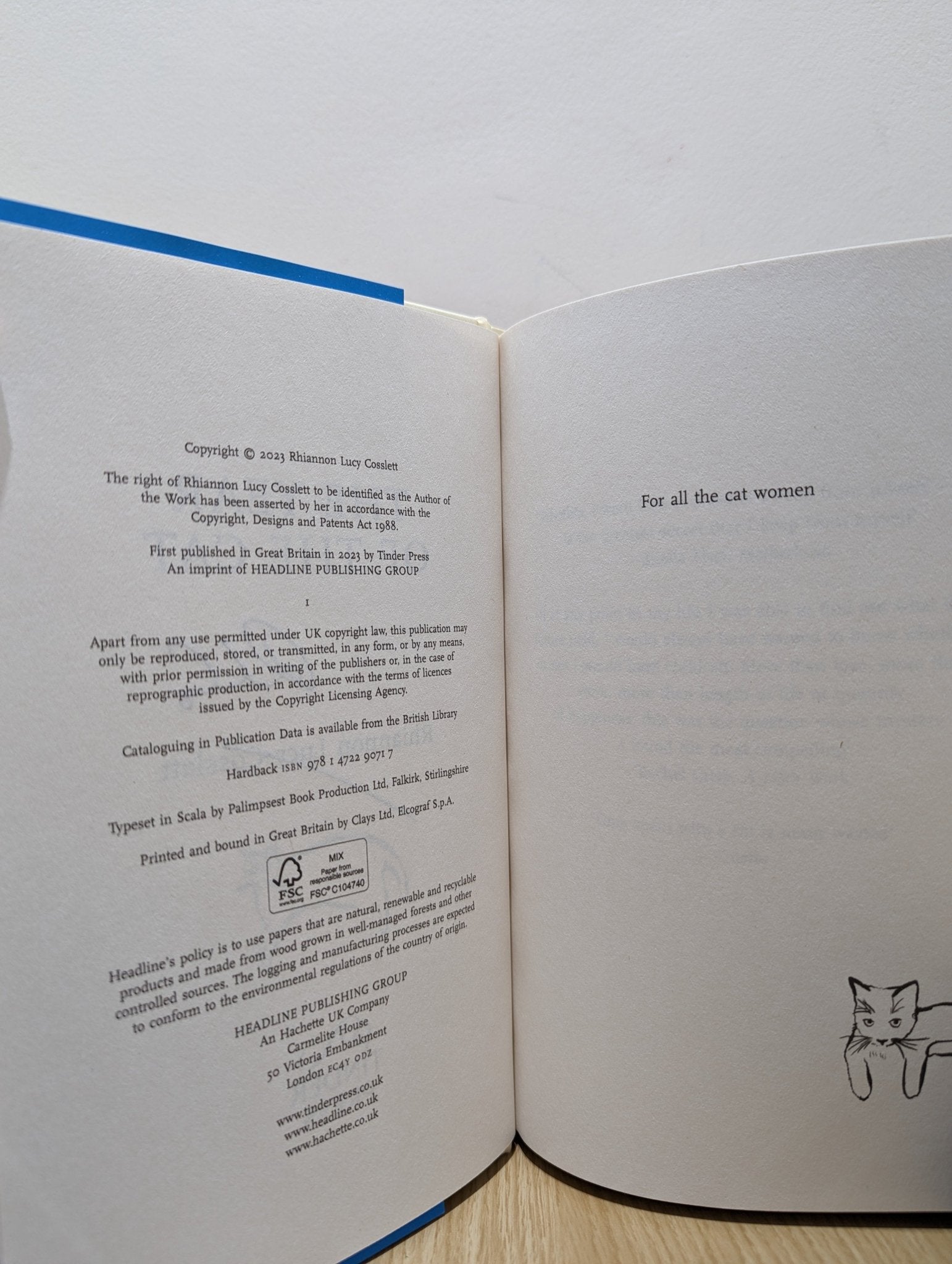 The Year of the Cat by Rhiannon Lucy Cosslett (Signed First Edition) - Fialta Books