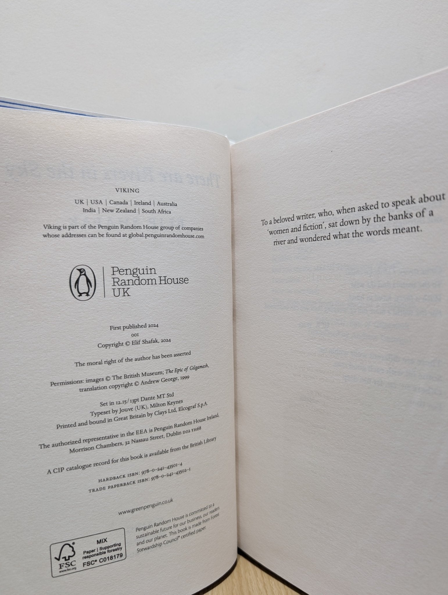 There are Rivers in the Sky by Elif Shafak (Signed First Edition) - Fialta Books