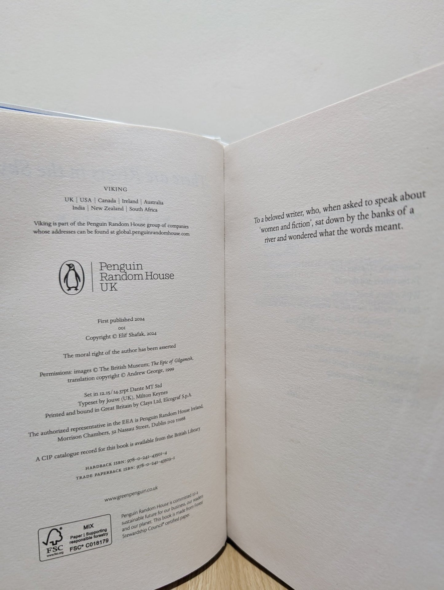 There are Rivers in the Sky by Elif Shafak (Signed First Edition with extra content) - Fialta Books