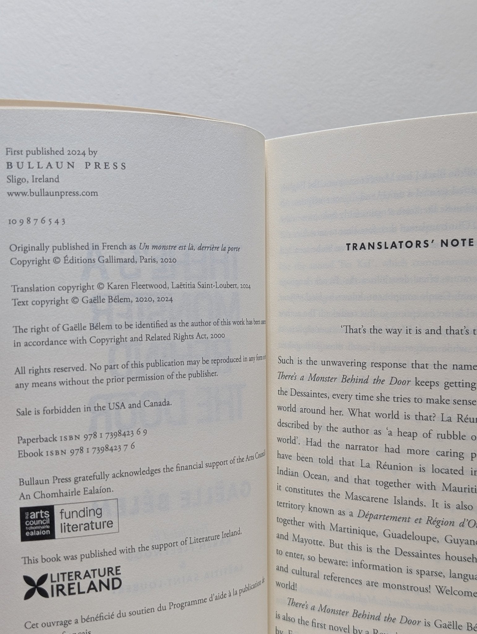 There's a Monster Behind the Door by Gaelle Belem - Fialta Books