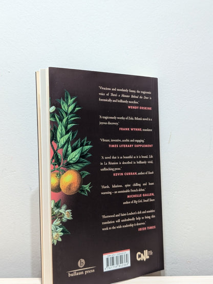 There's a Monster Behind the Door by Gaelle Belem - Fialta Books