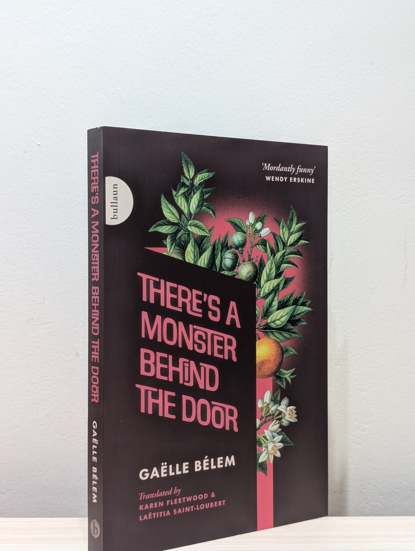 There's a Monster Behind the Door by Gaelle Belem (First Edition) - Fialta Books