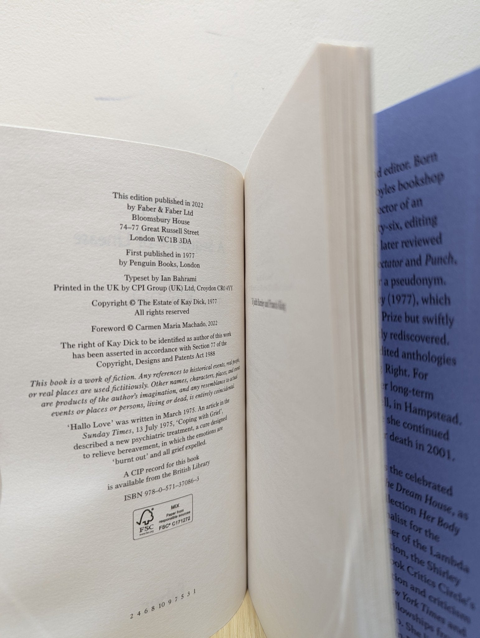 They by Kay Dick - Fialta Books