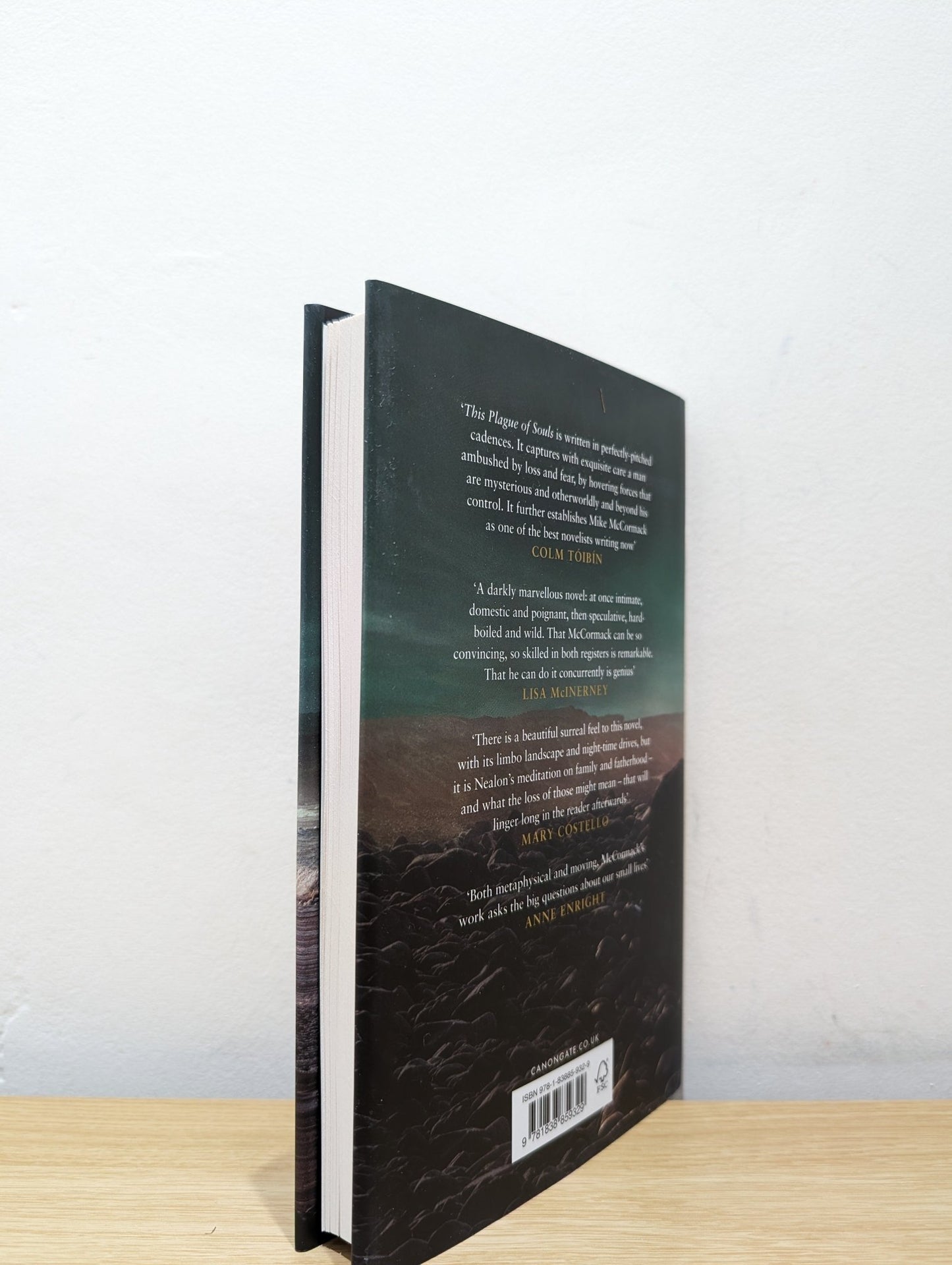 This Plague of Souls by Mike McCormack (First Edition) - Fialta Books