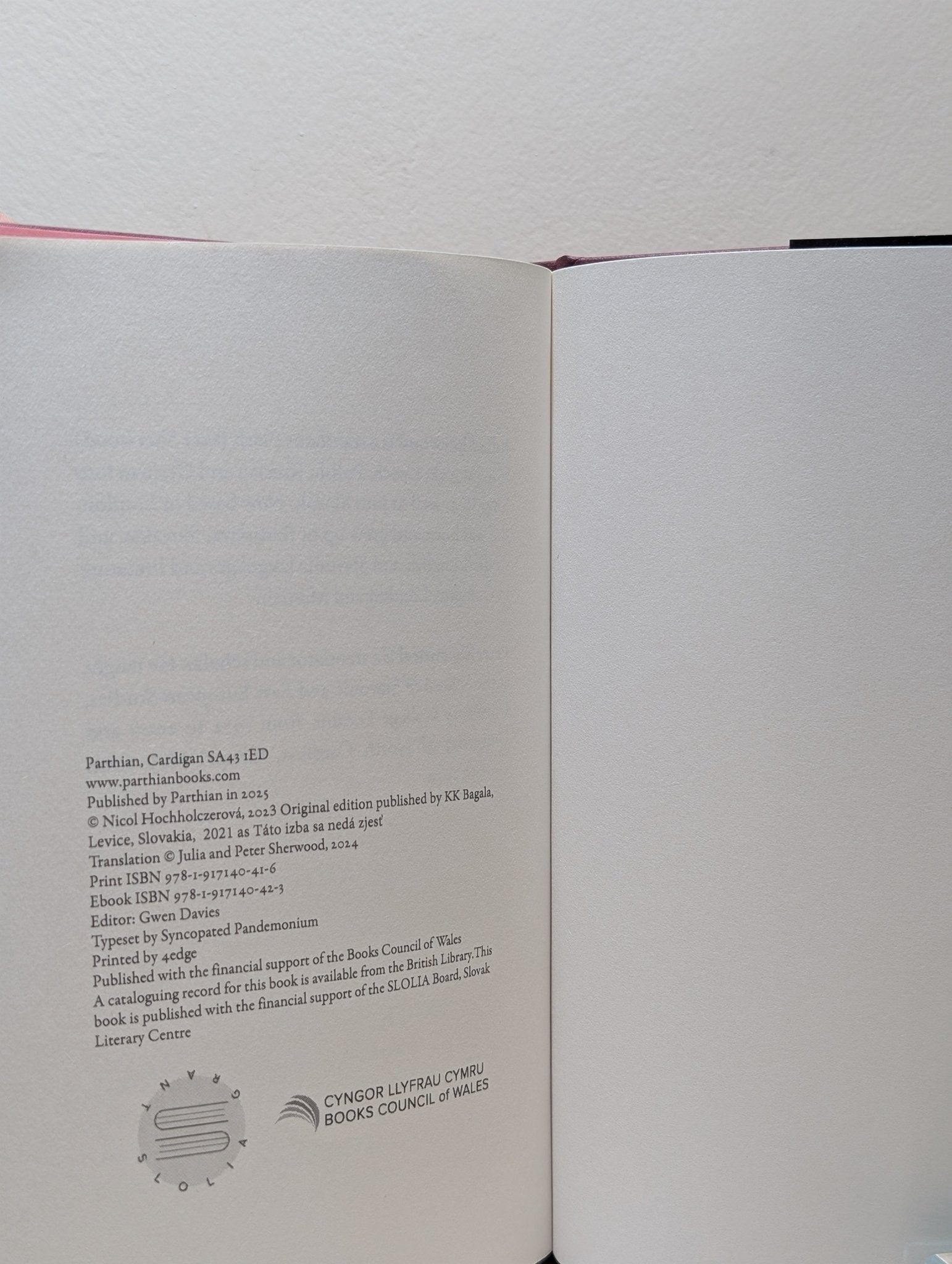 This Room Is Impossible to Eat by Nicol Hochholczerova (Signed First Edition) - Fialta Books