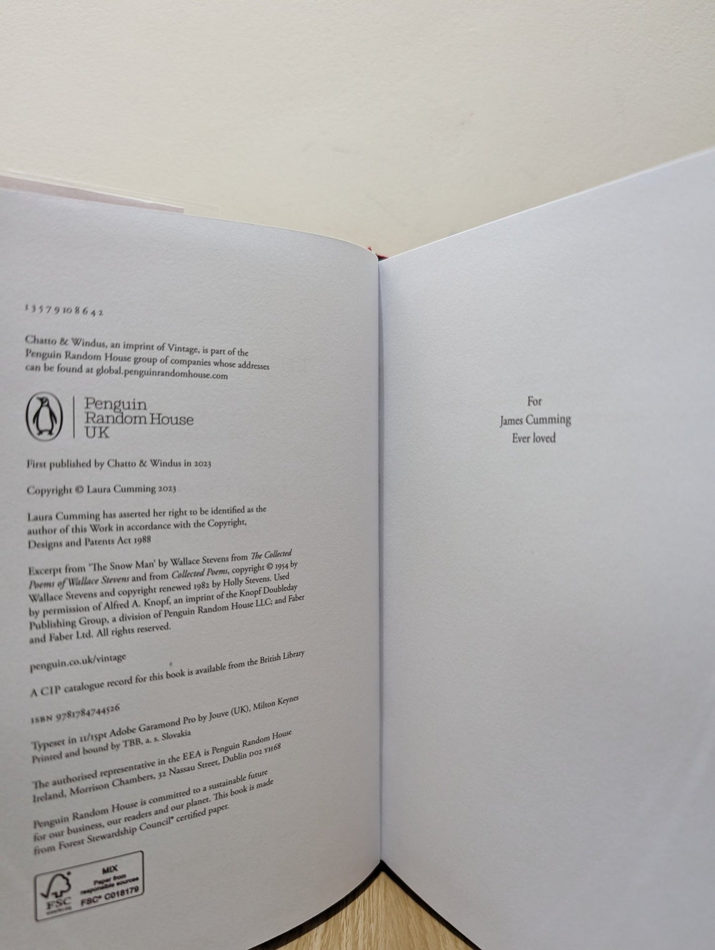 Thunderclap: A memoir of art and life & sudden death by Laura Cumming (Signed First Edition) - Fialta Books