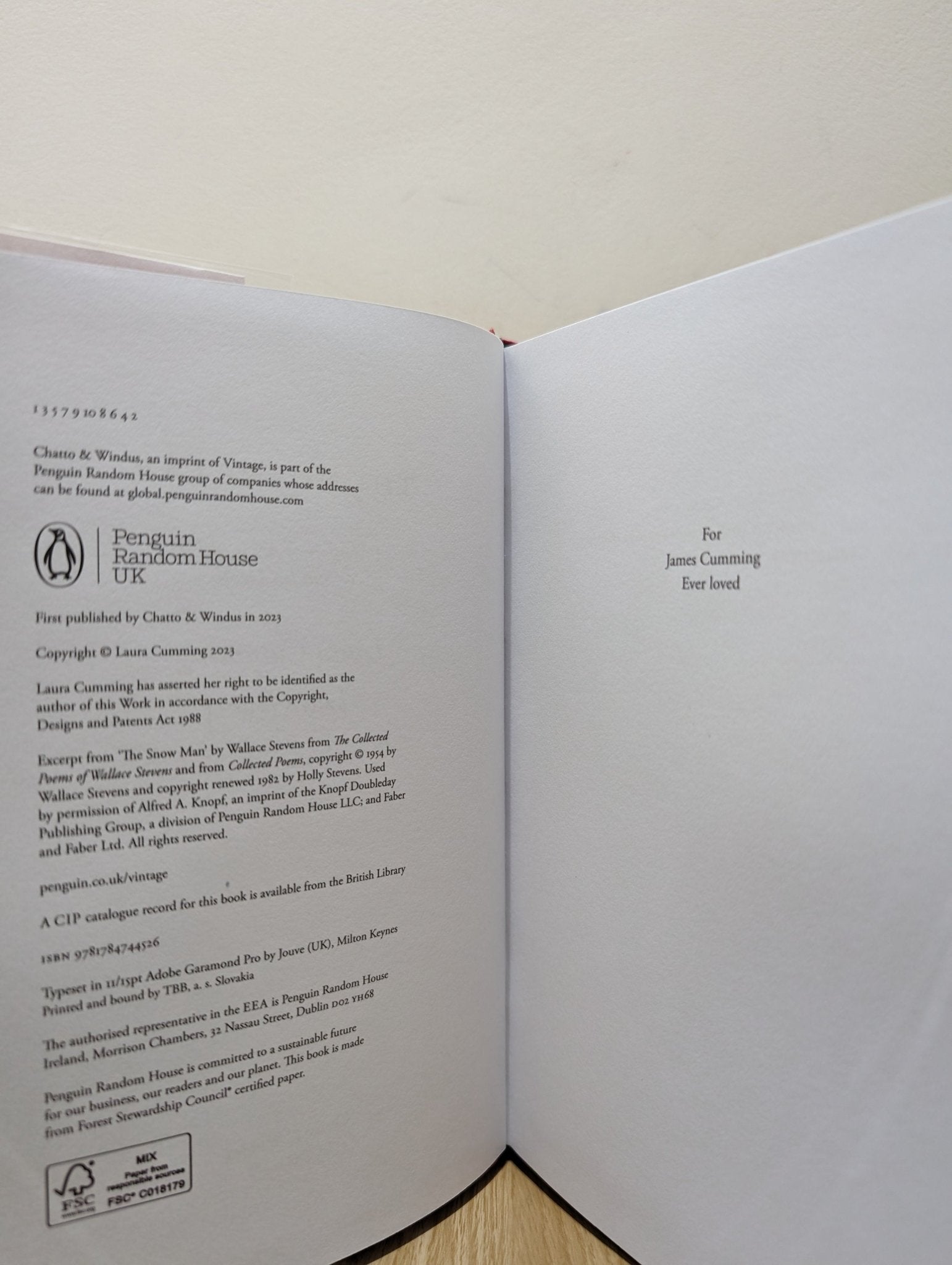 Thunderclap: A memoir of art and life & sudden death by Laura Cumming (Signed First Edition) - Fialta Books