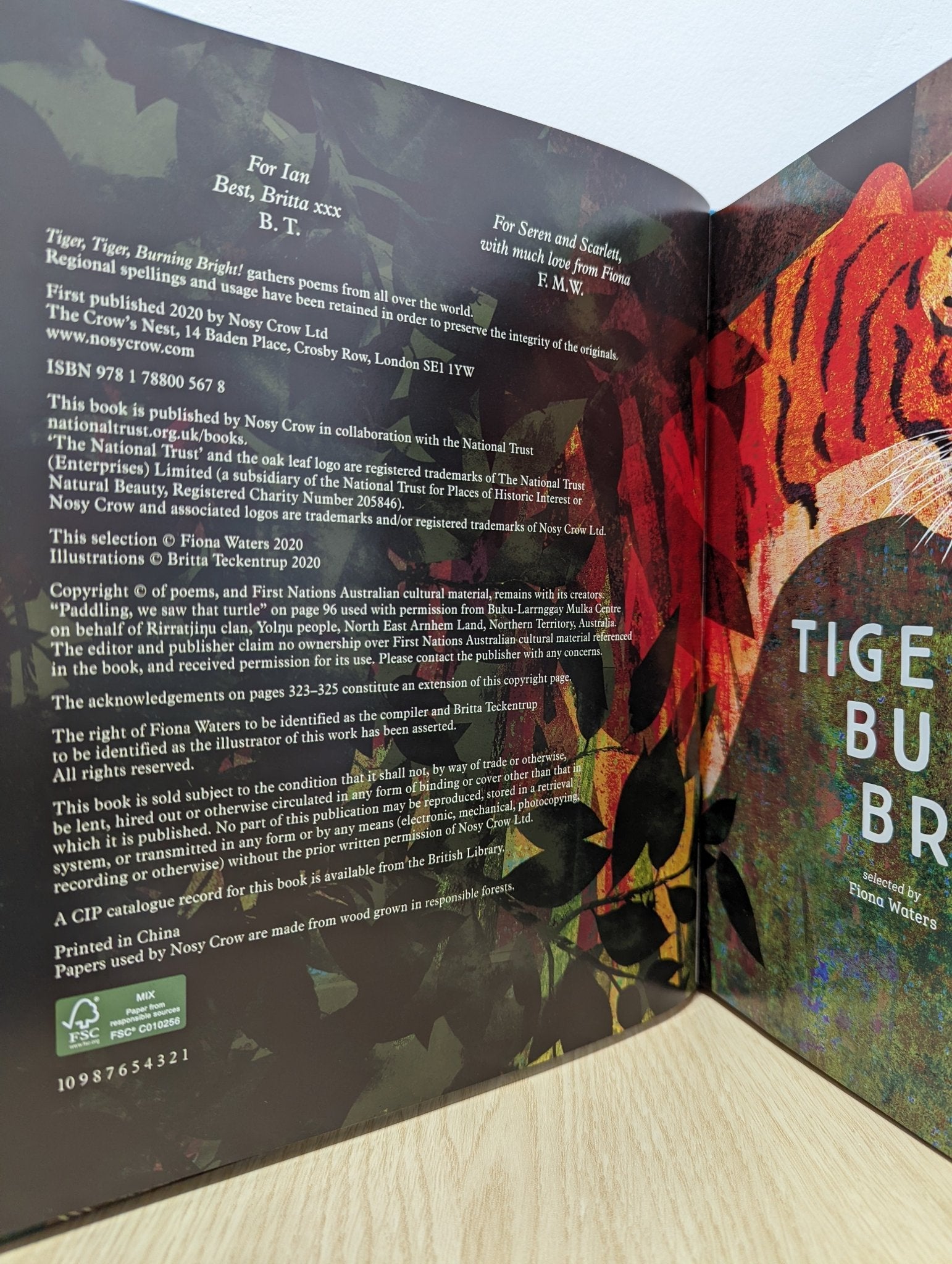 Tiger, Tiger, Burning Bright! by Fiona Waters (First Edition) - Fialta Books