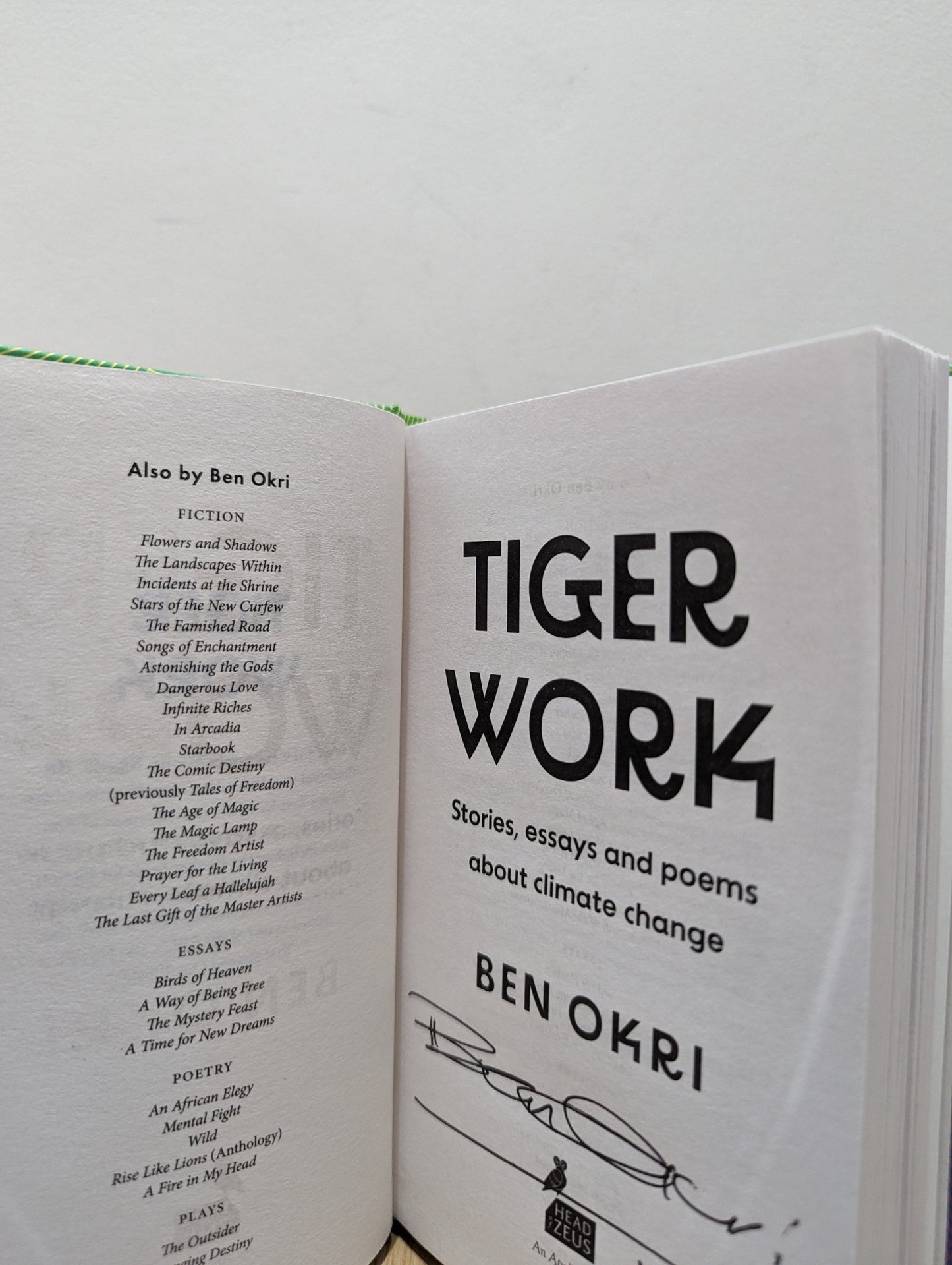 Tiger Work: Stories, essays and poems about climate change by Ben Okri (Signed First Edition) - Fialta Books