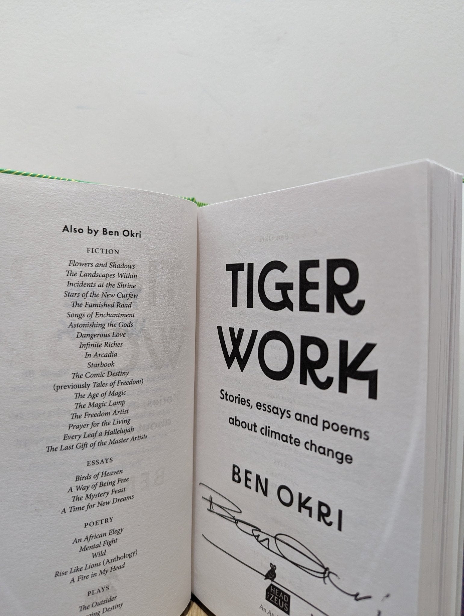 Tiger Work: Stories, essays and poems about climate change by Ben Okri (Signed First Edition) - Fialta Books