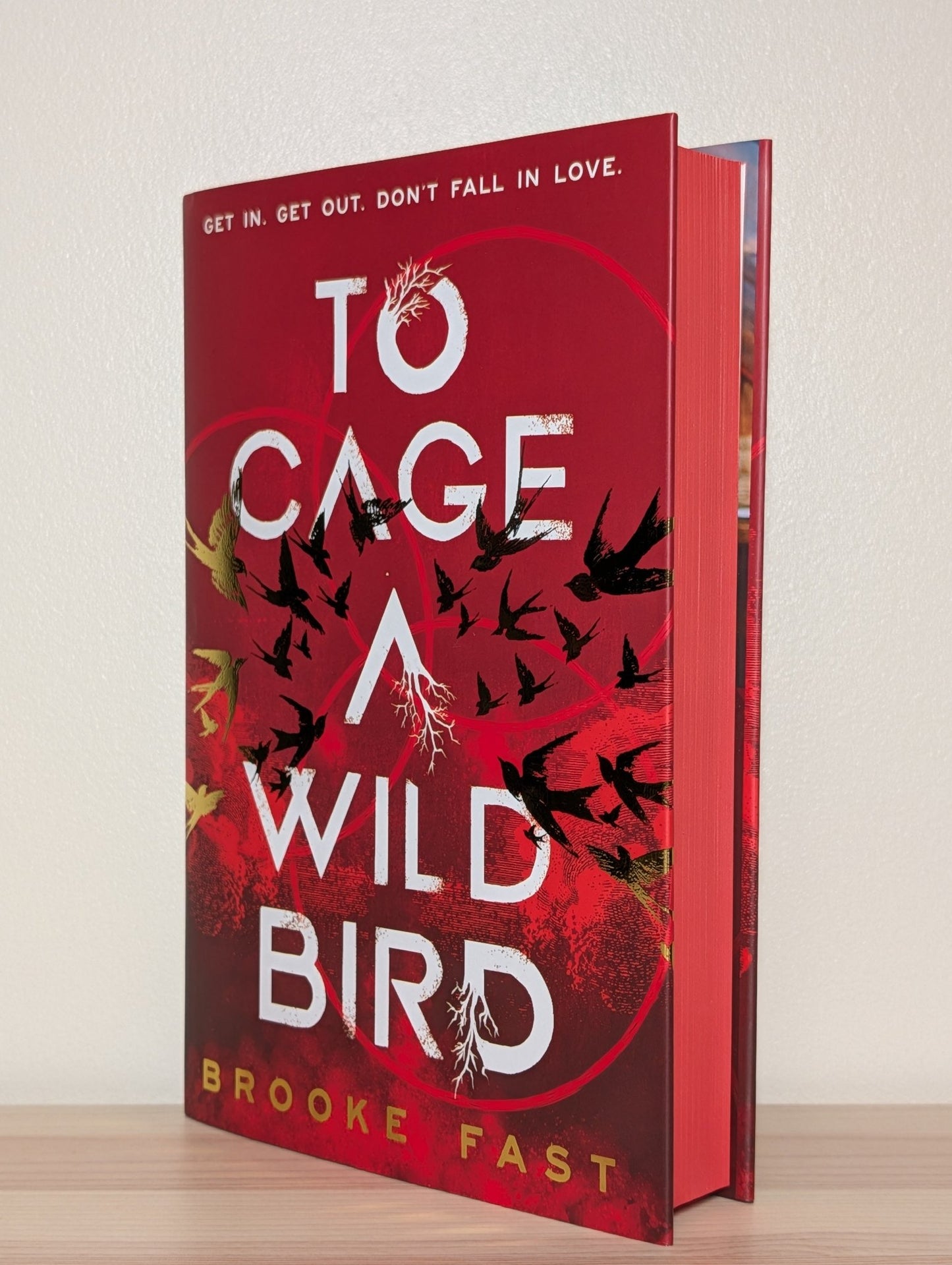 To Cage a Wild Bird by Brooke Fast (Signed First Edition with sprayed edges) - Fialta Books